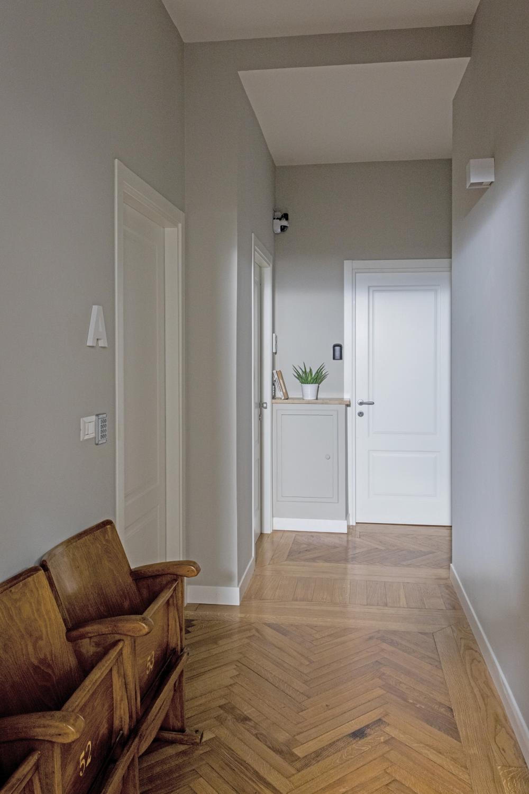 Rapanus Suites