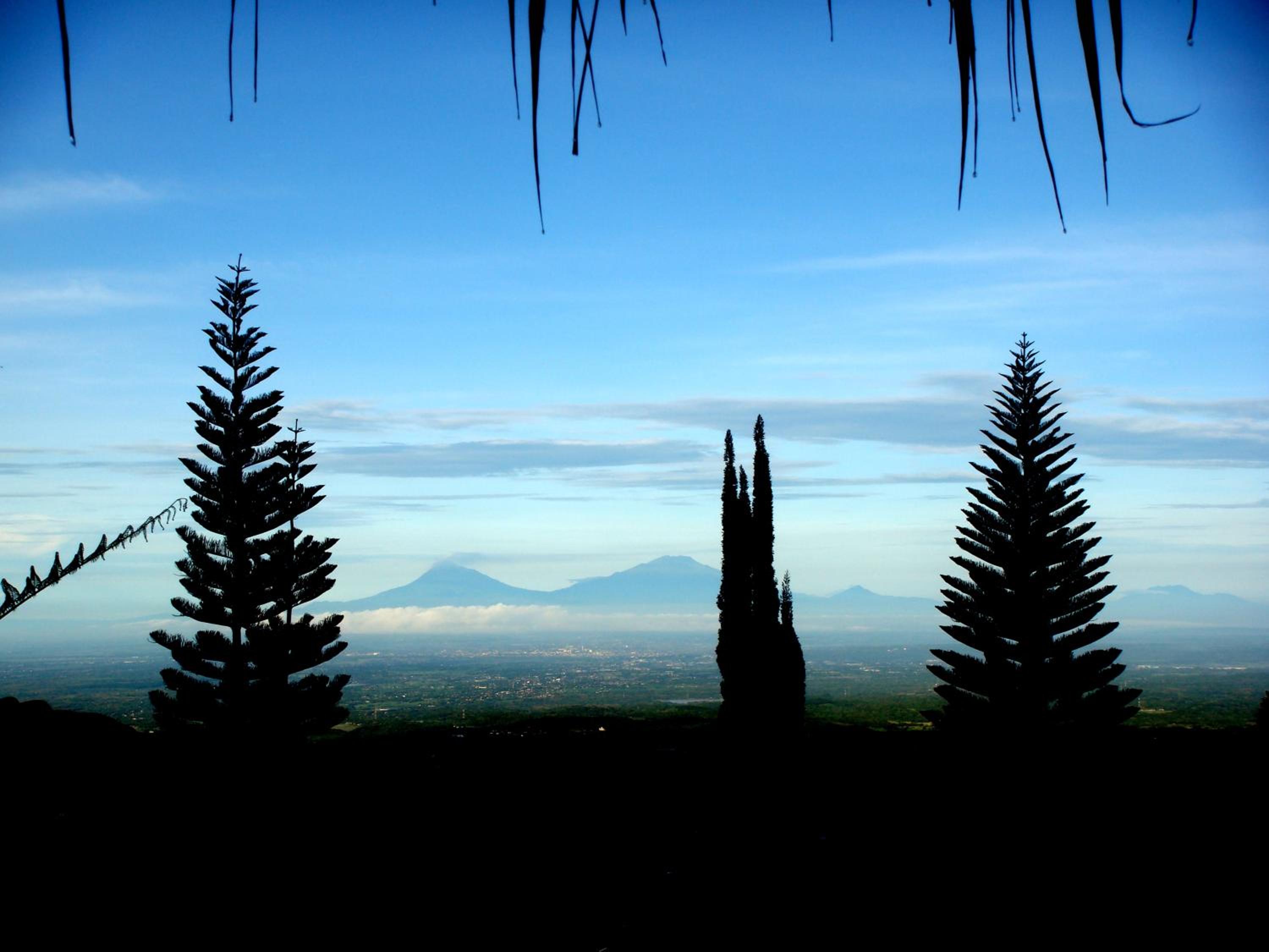 Sukuh Cottage view 5