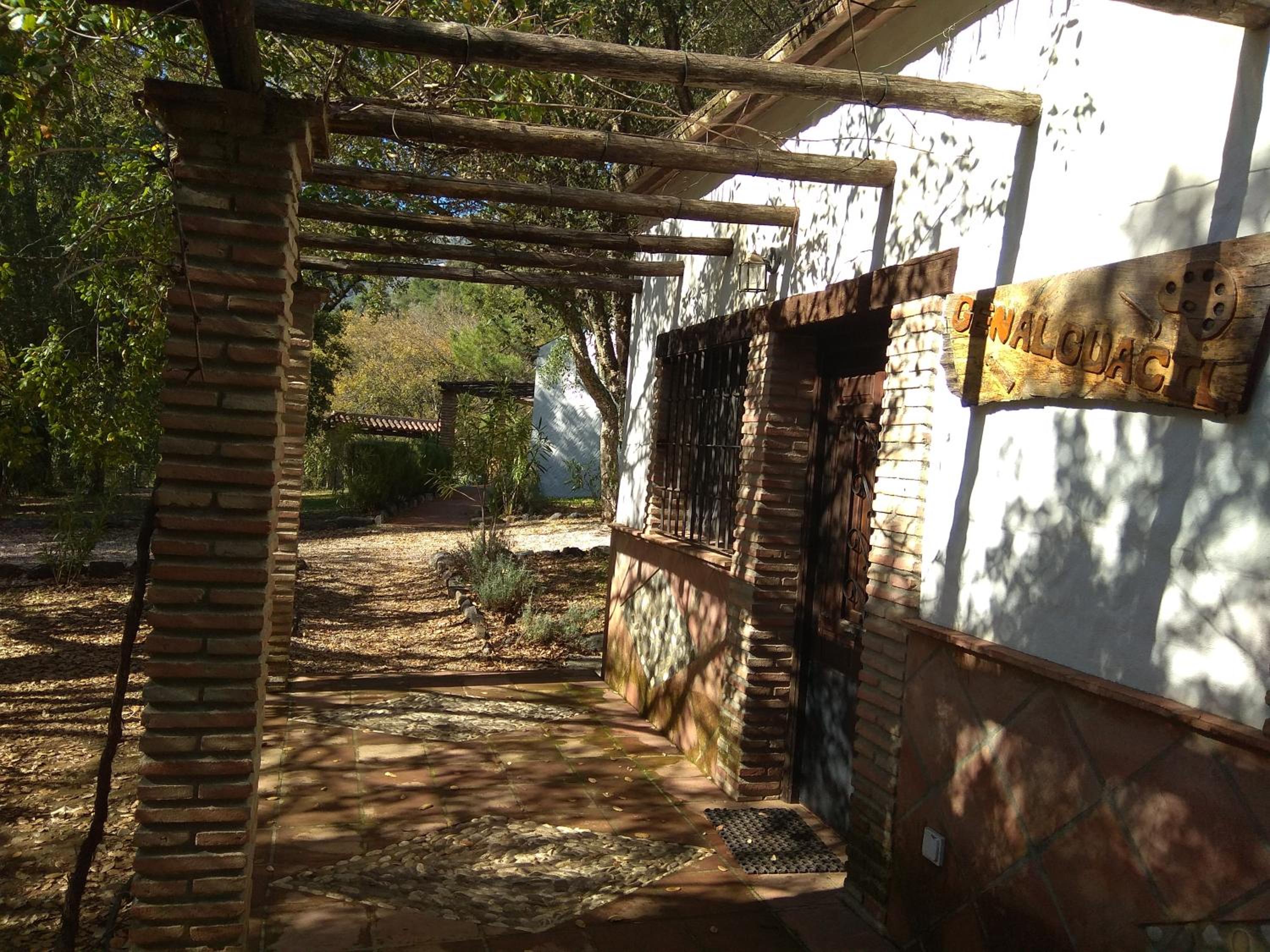 Photo 17