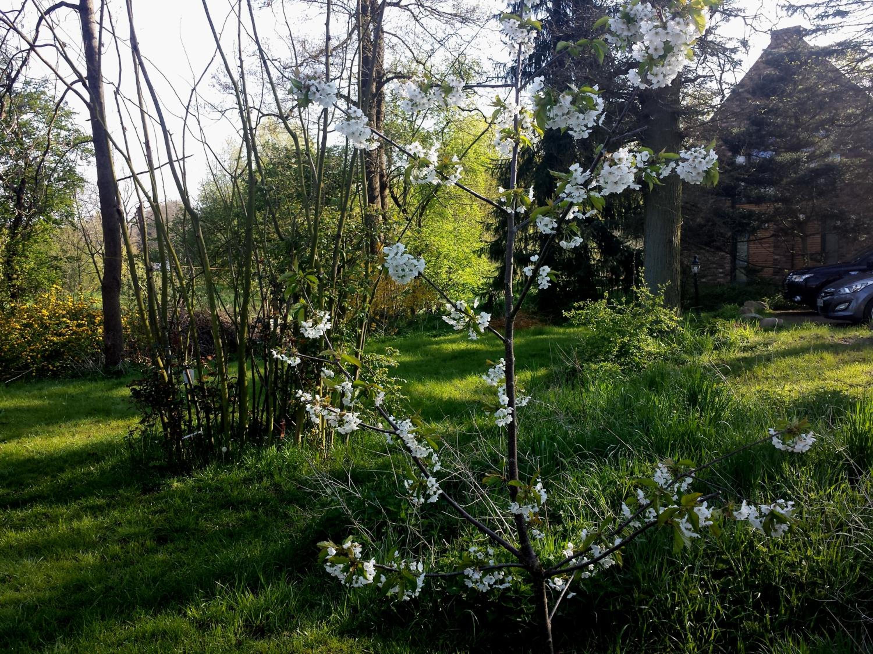 Photo 31