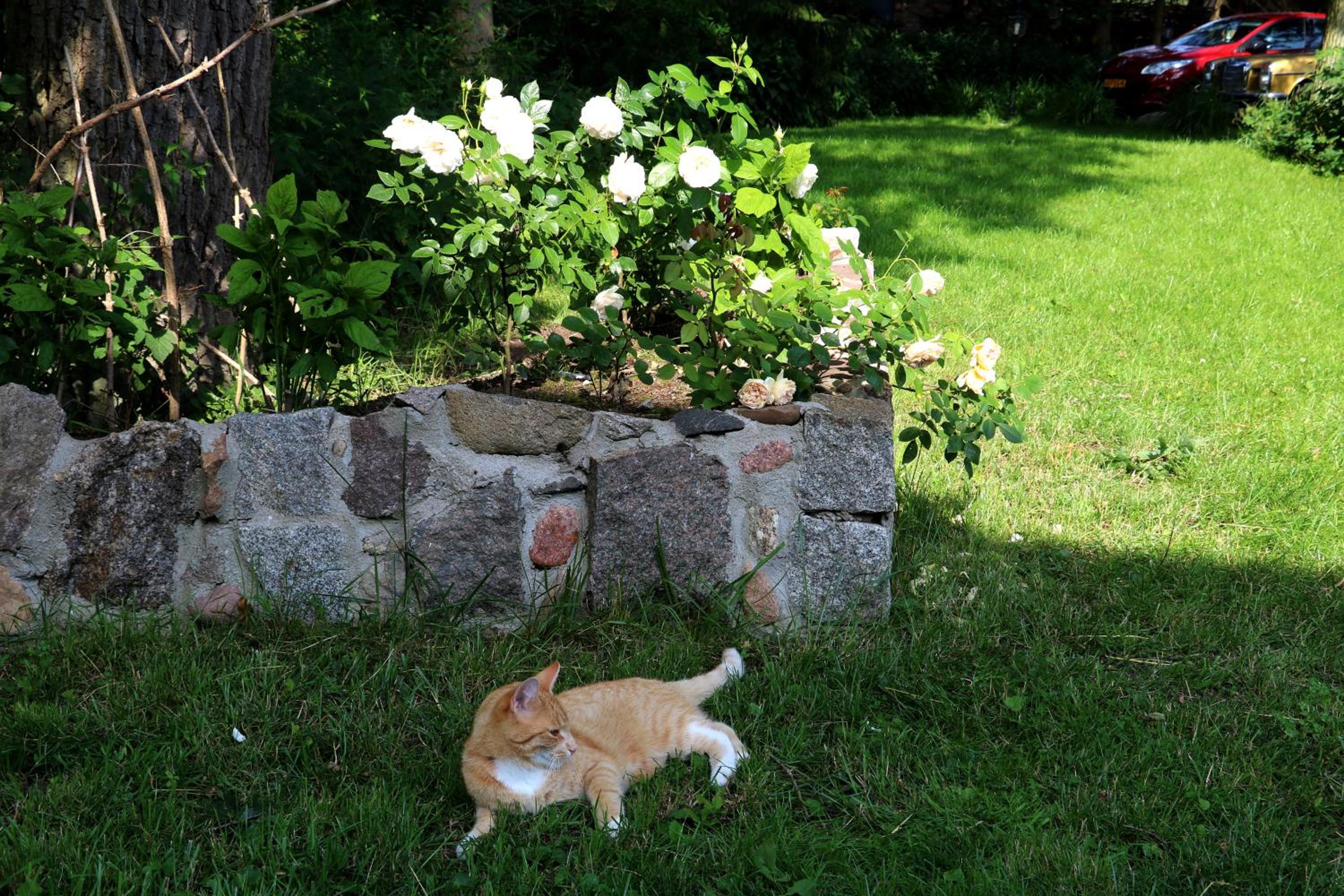 Photo 35