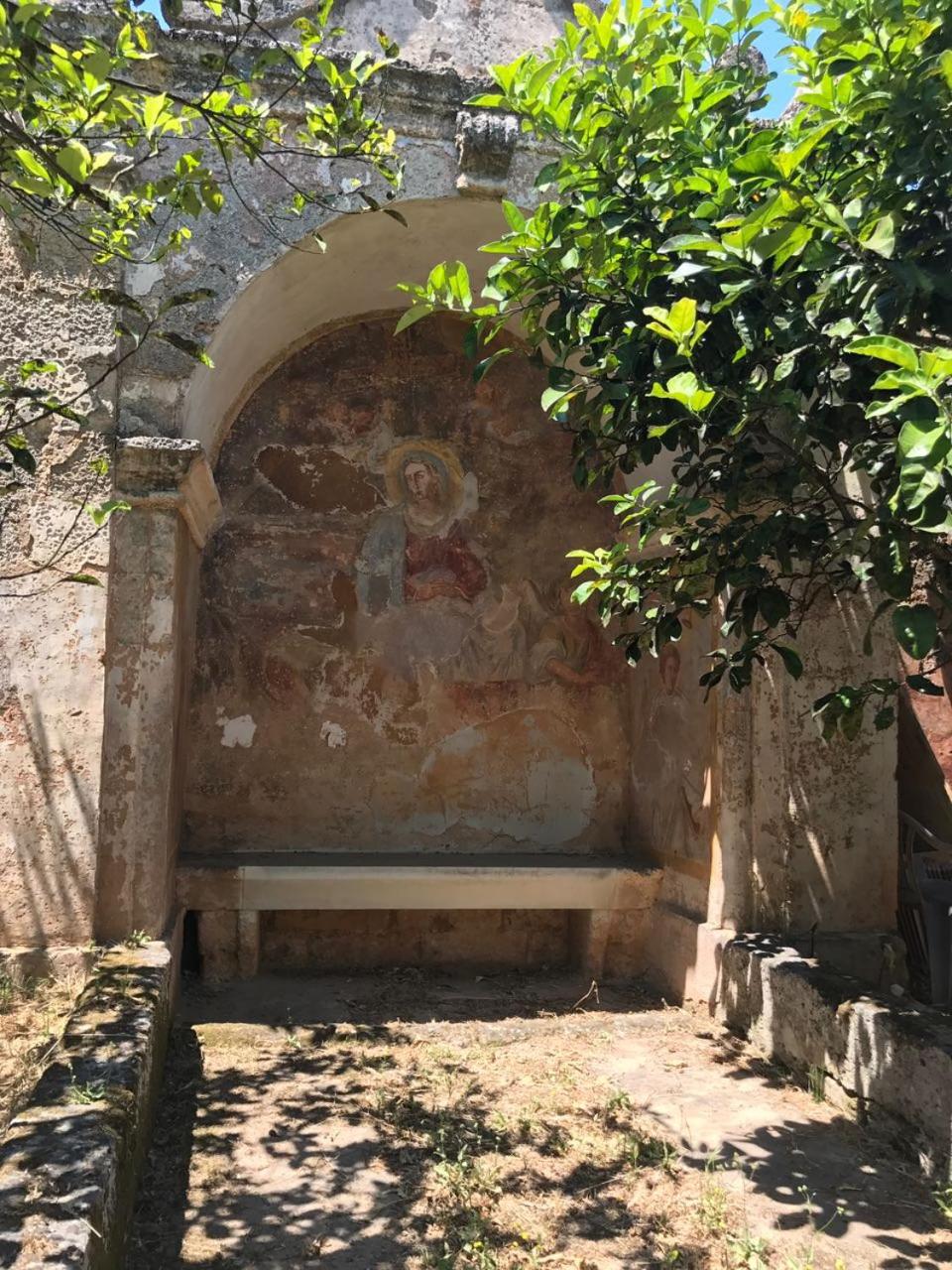 Photo 31