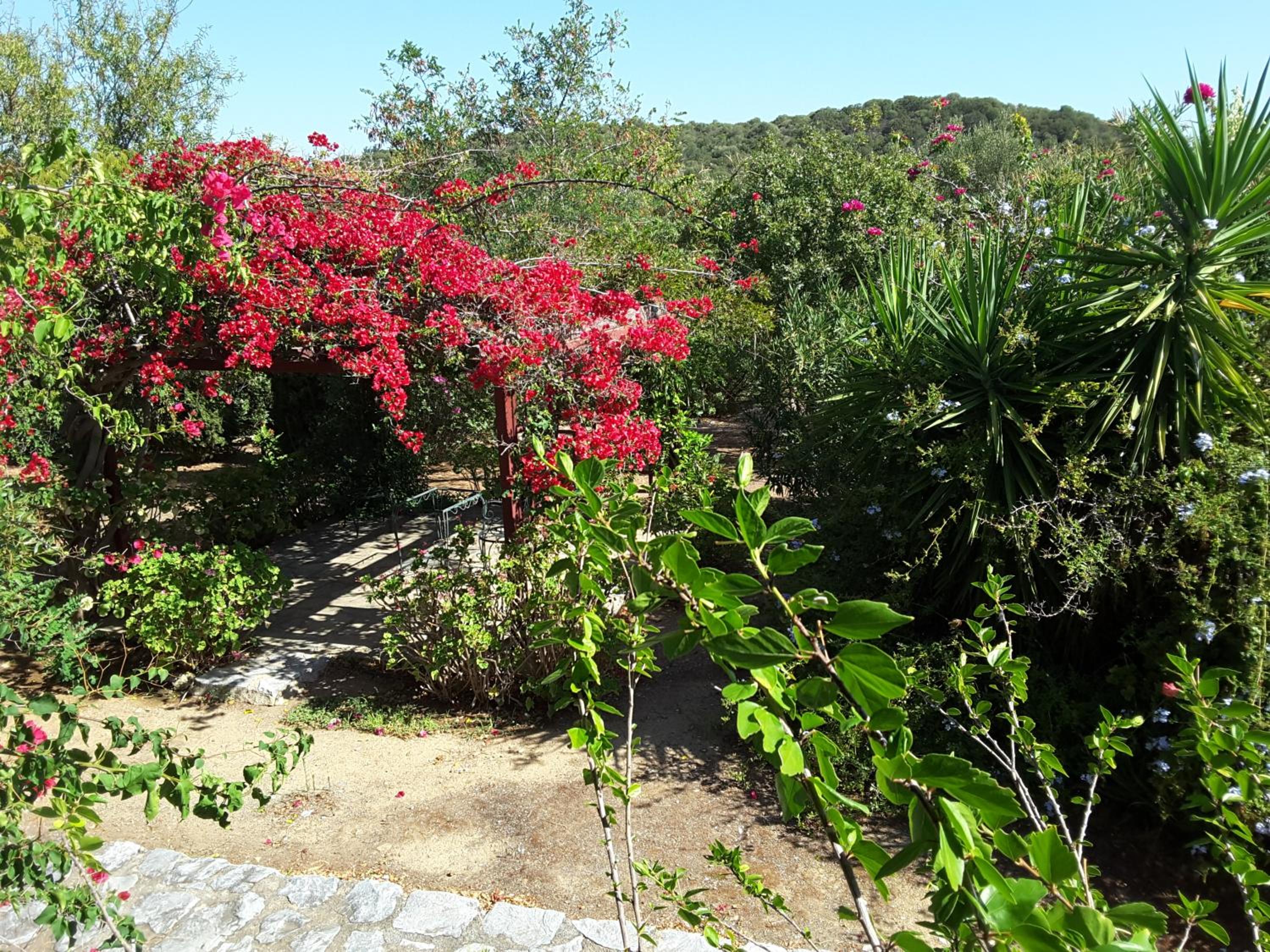 Photo 7