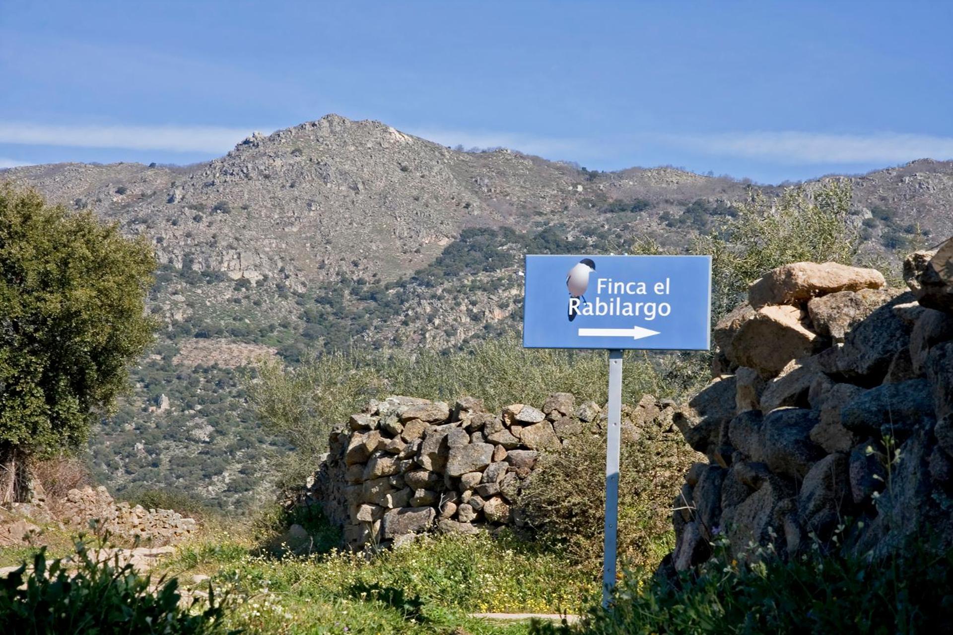 Finca el Rabilargo view 5