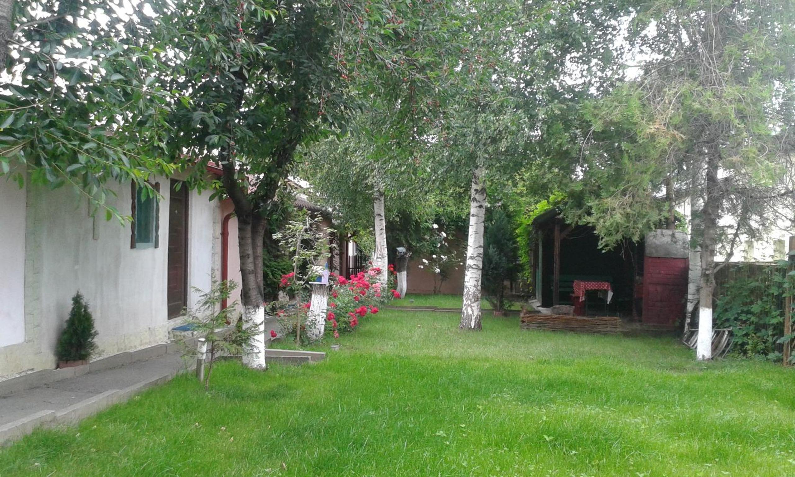 Photo 20