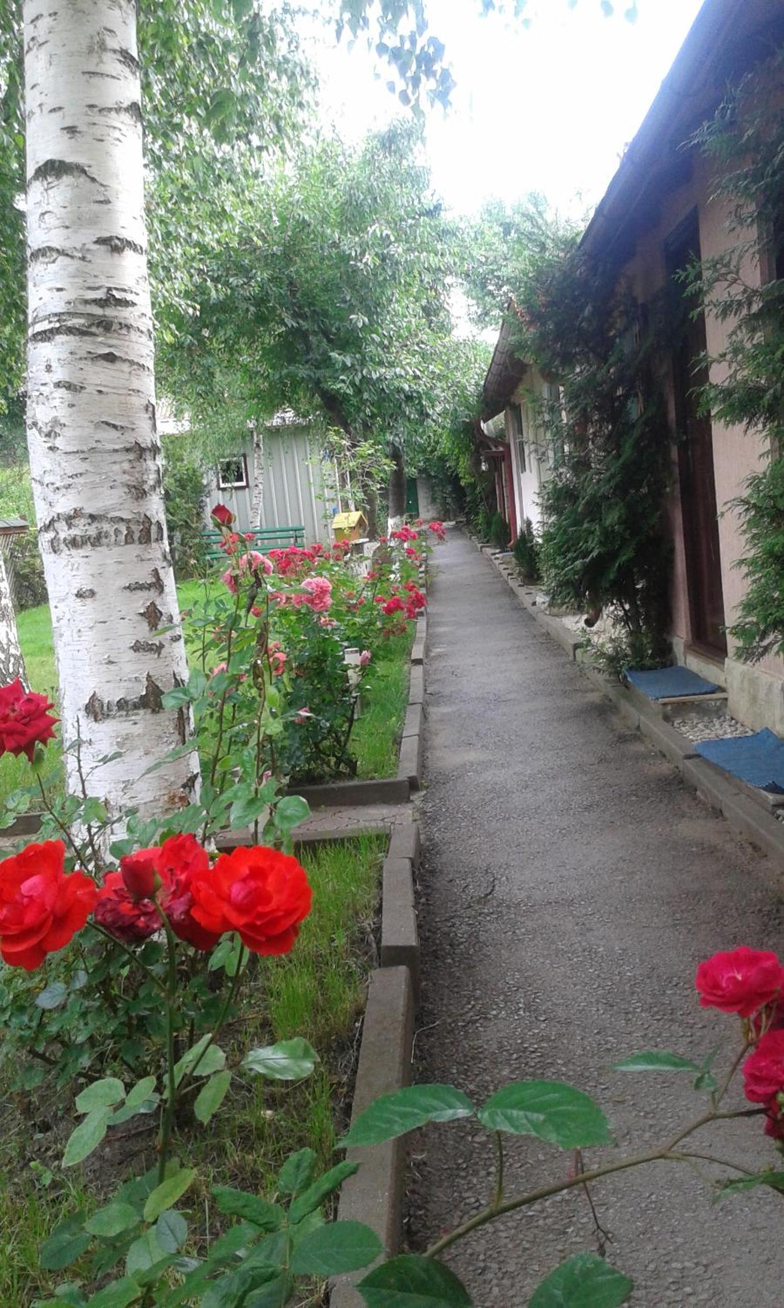 Photo 19