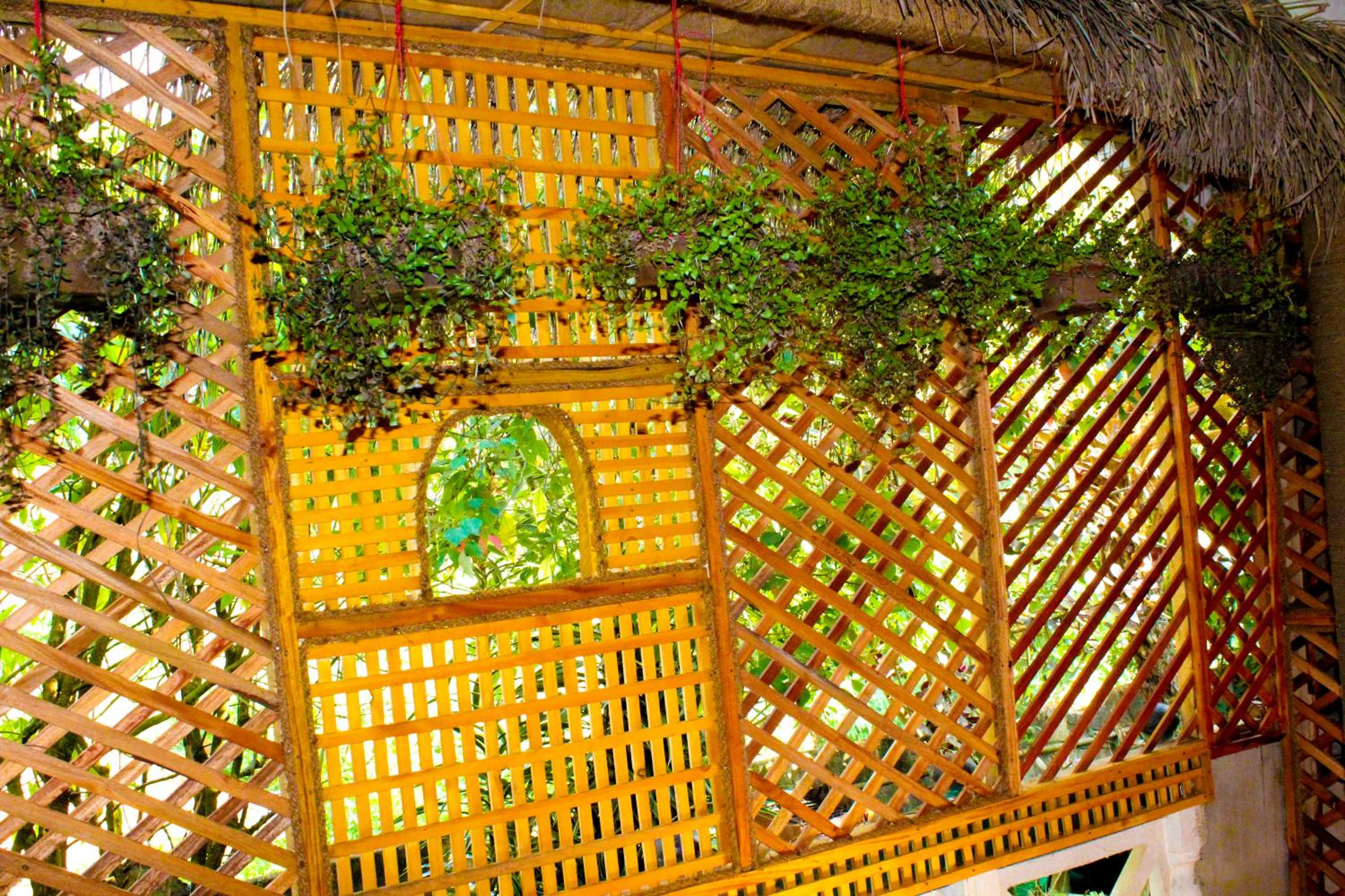 Green Haven Villa & Guest House