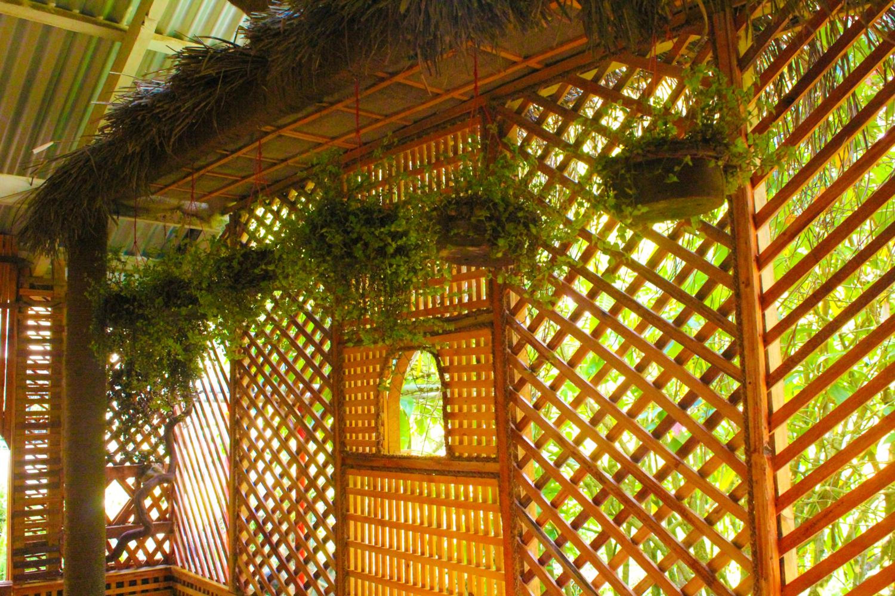 Green Haven Villa & Guest House