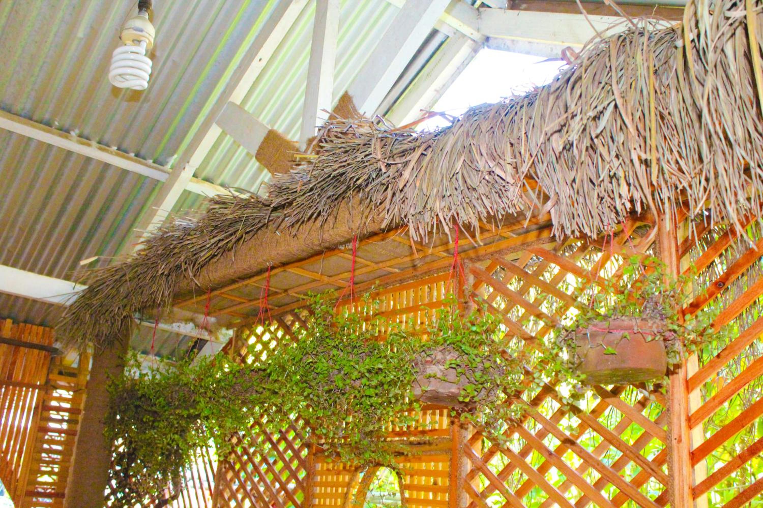 Green Haven Villa & Guest House