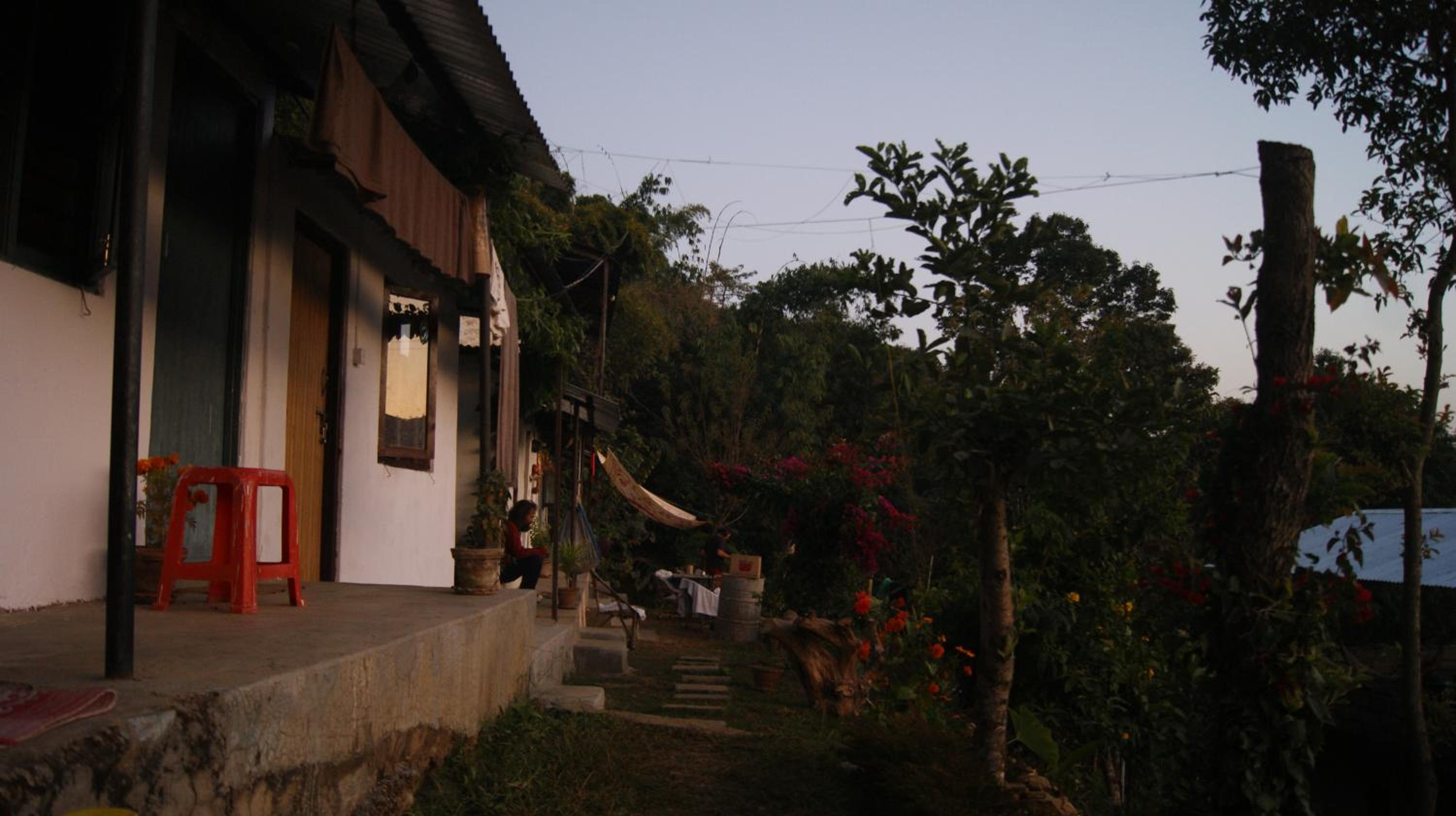 Photo 41
