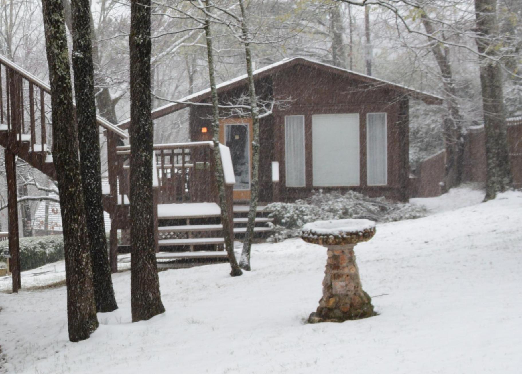 The Woods Cabins