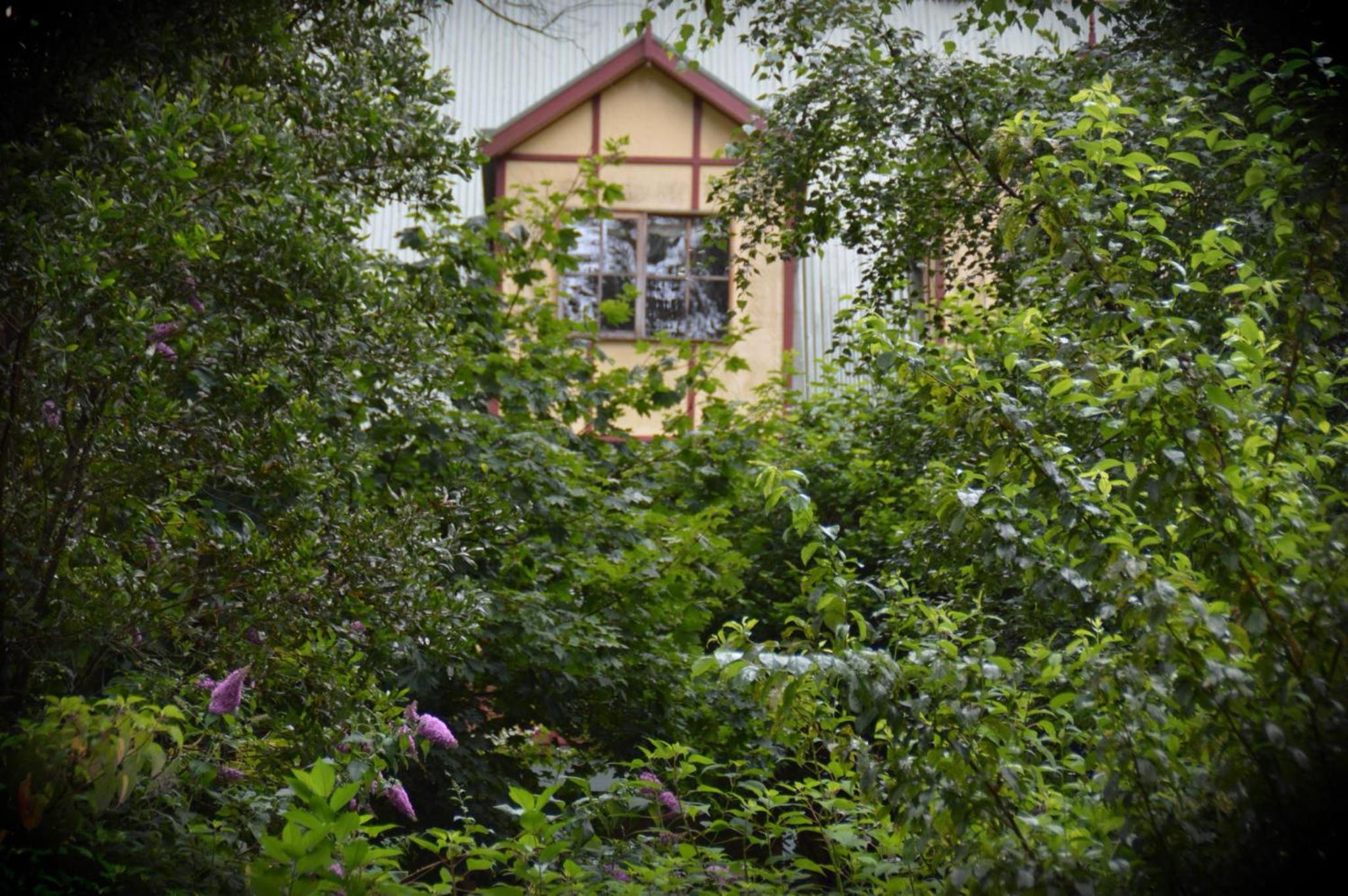 Mountain Lodge
