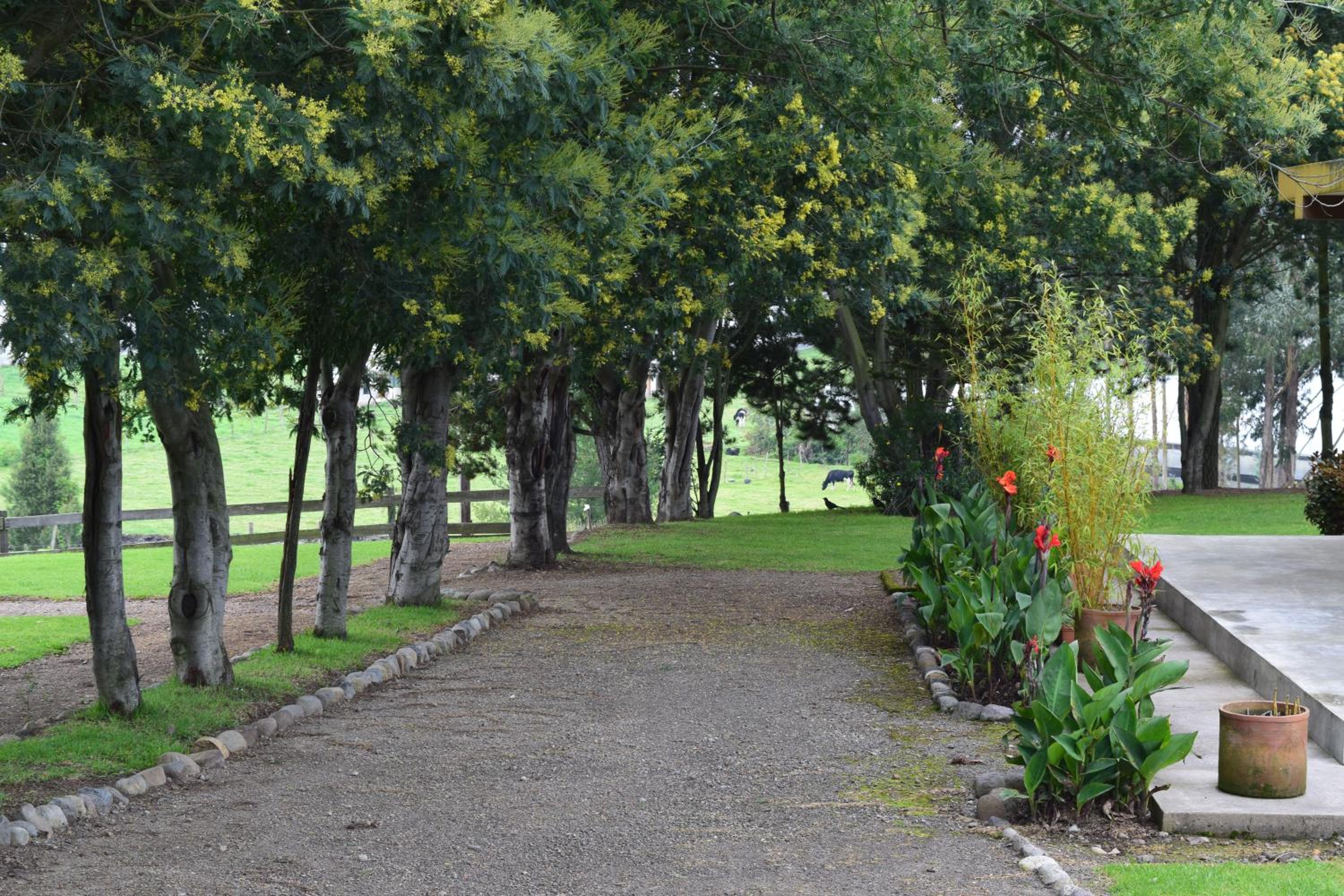 Photo 22