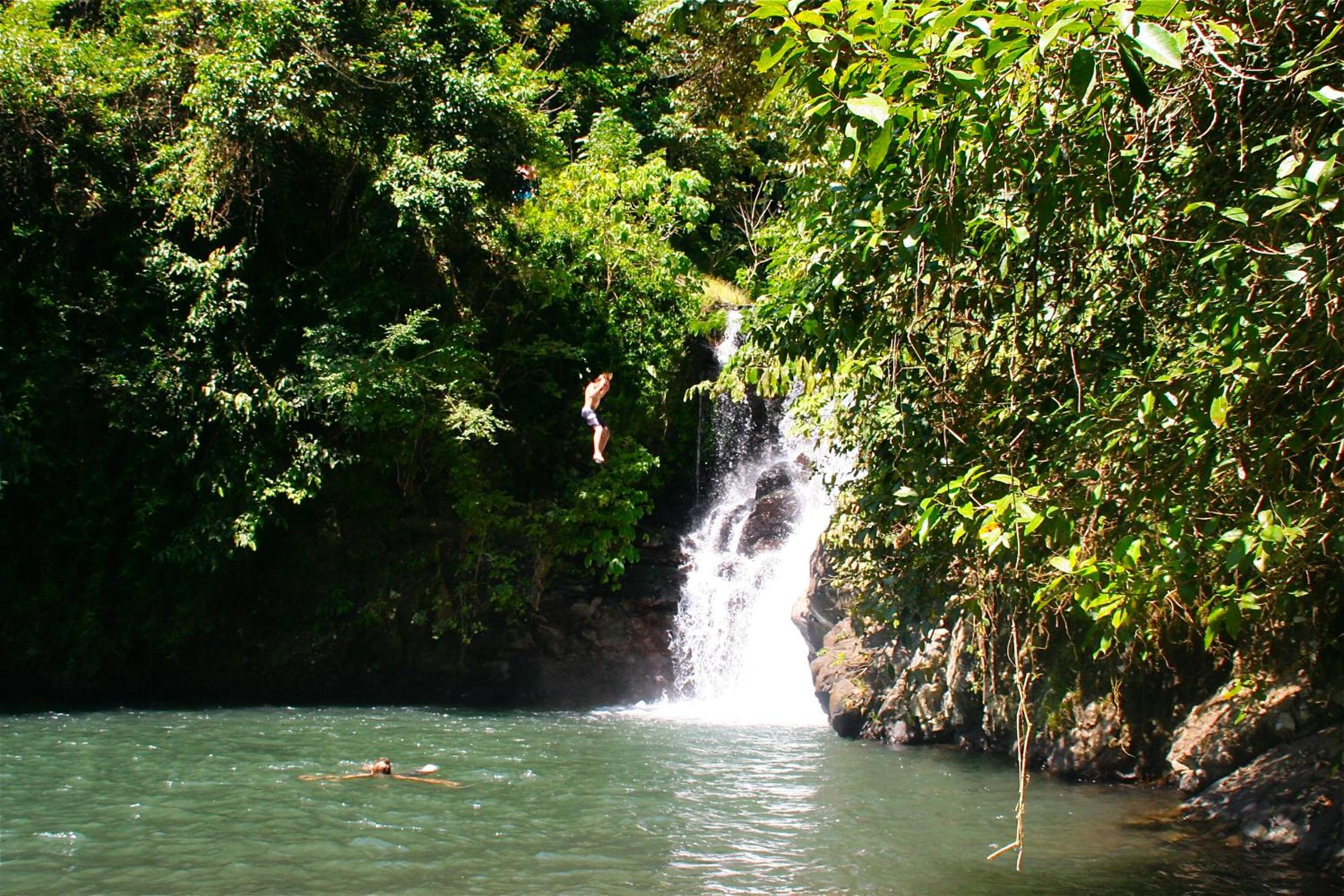 Photo 40