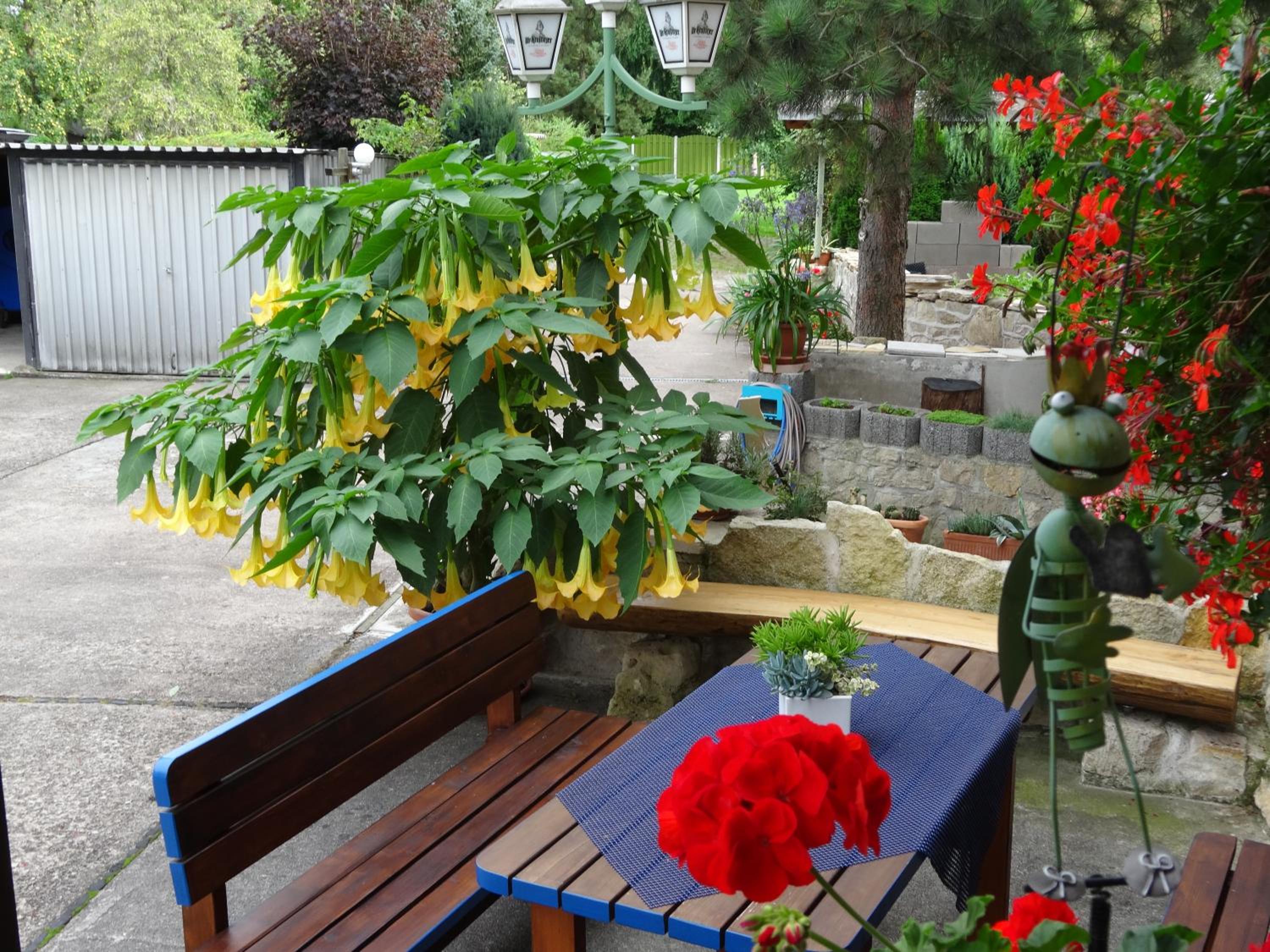 Photo 41