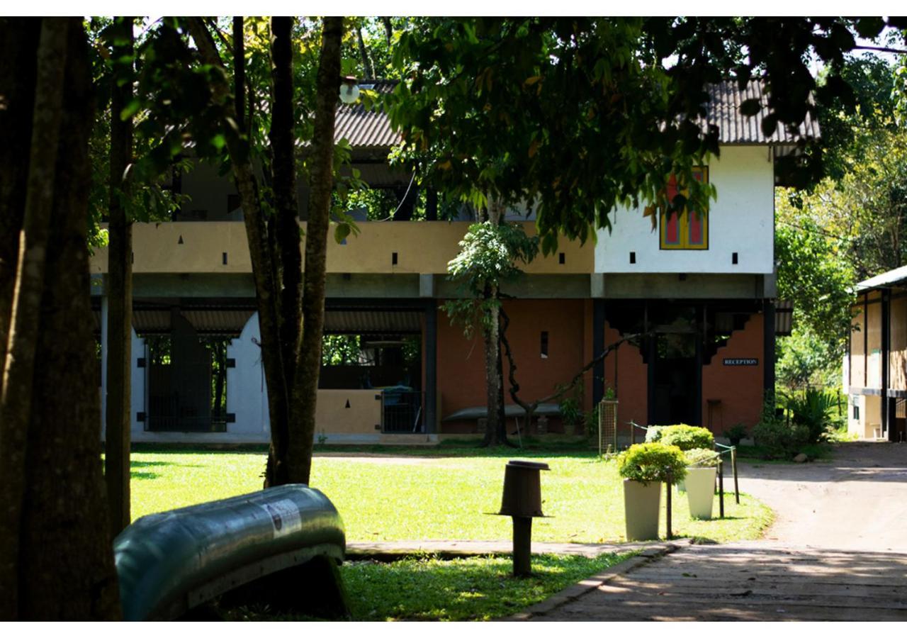 Photo 79