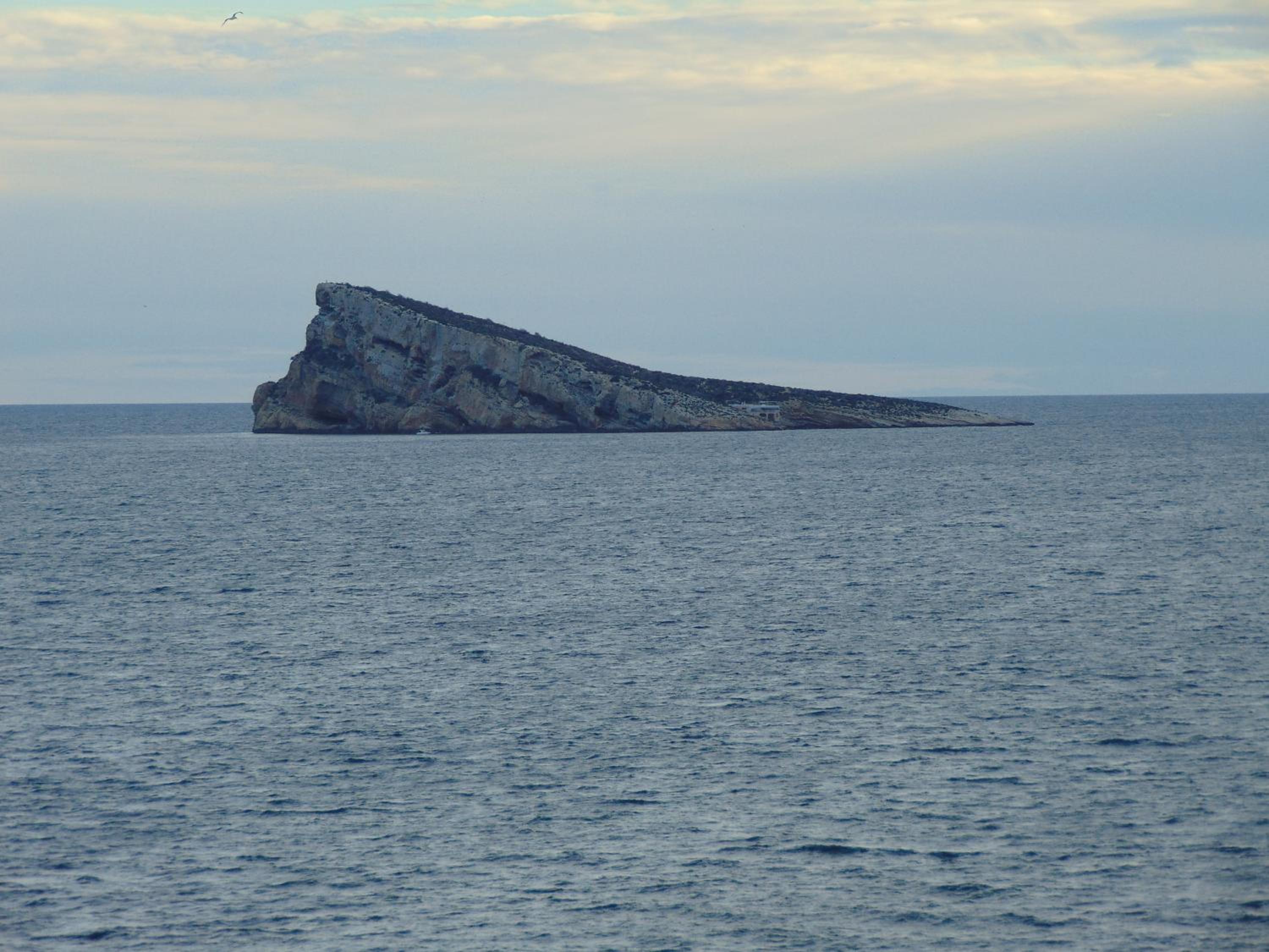 Photo 44