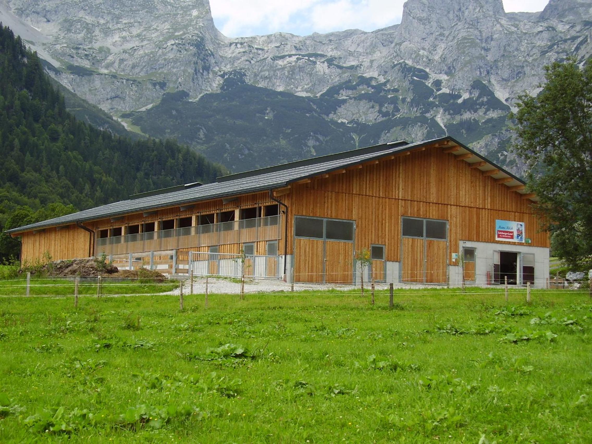 Örglgut