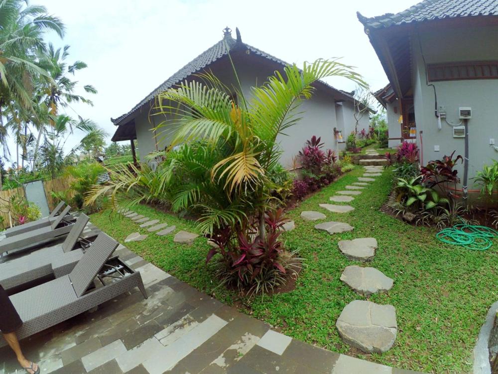 Photo 25