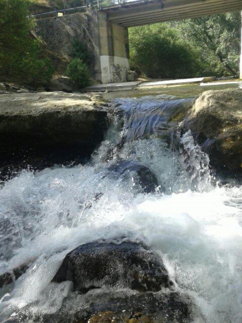 Photo 9