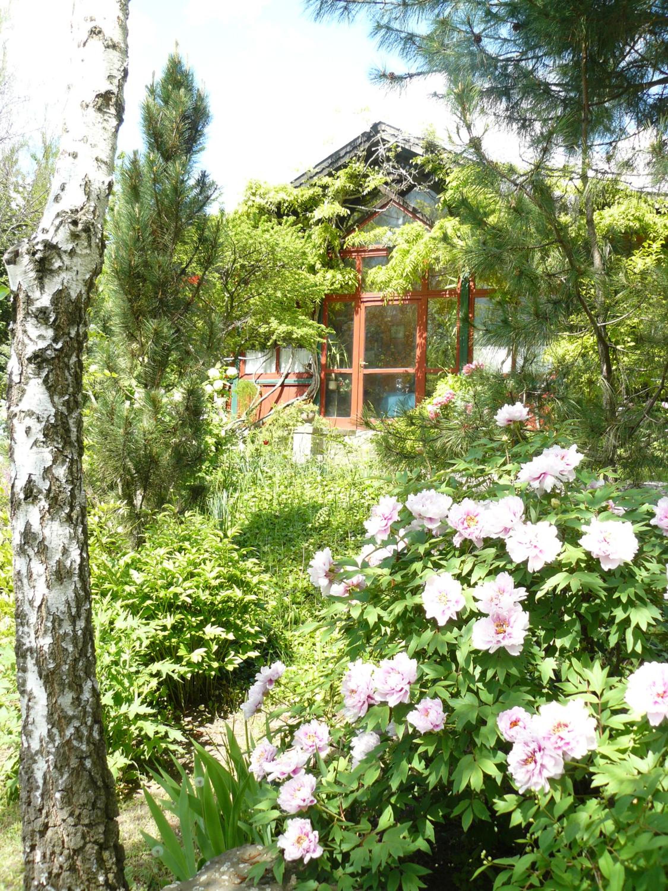 Photo 37