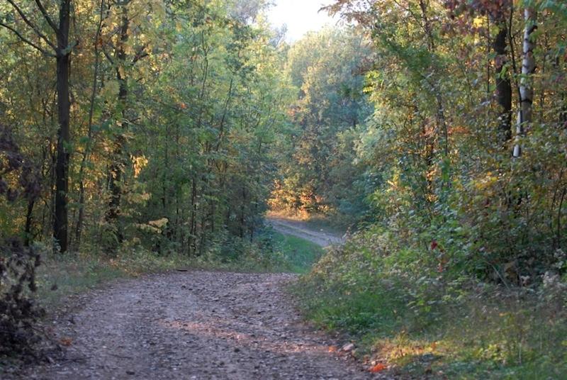Photo 47