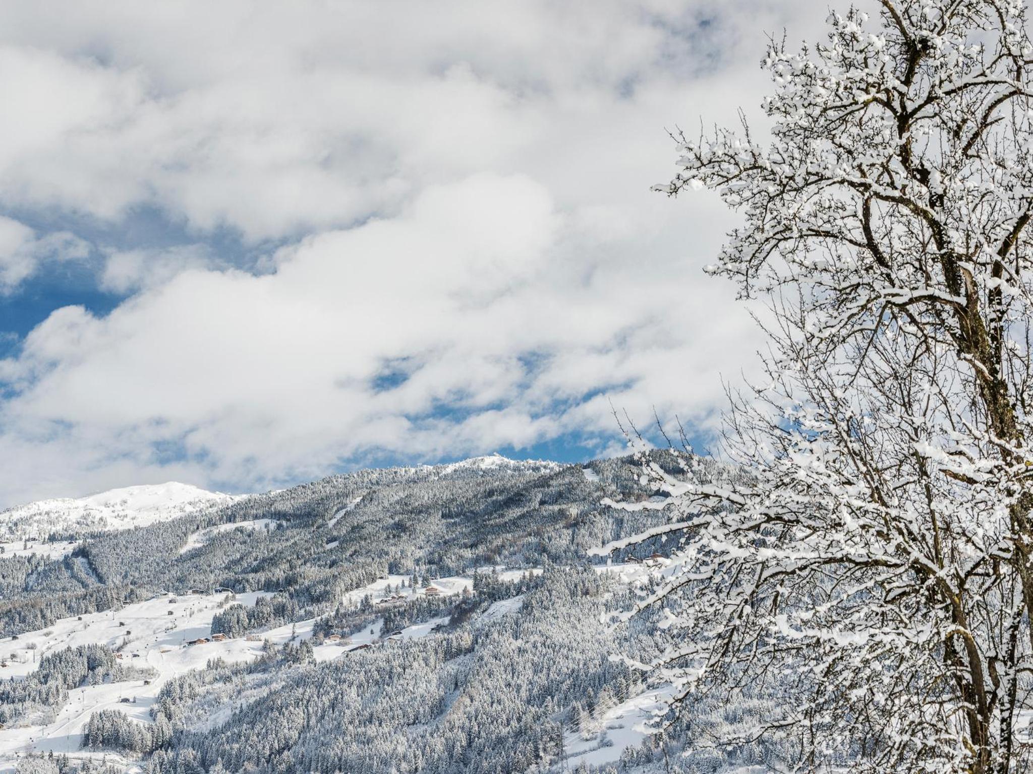 Tirol Appartement Haus Zillertal