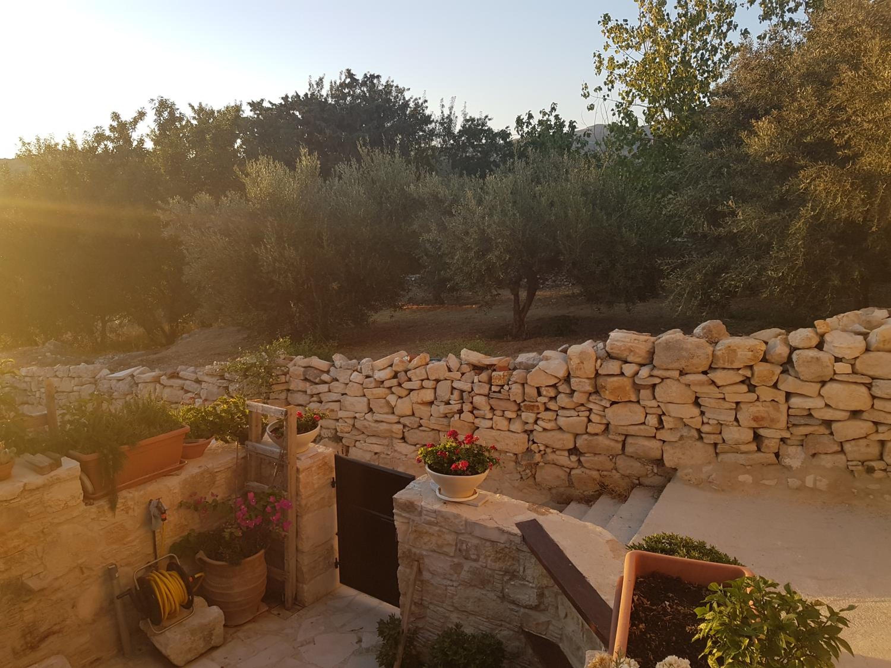 Xenia 2