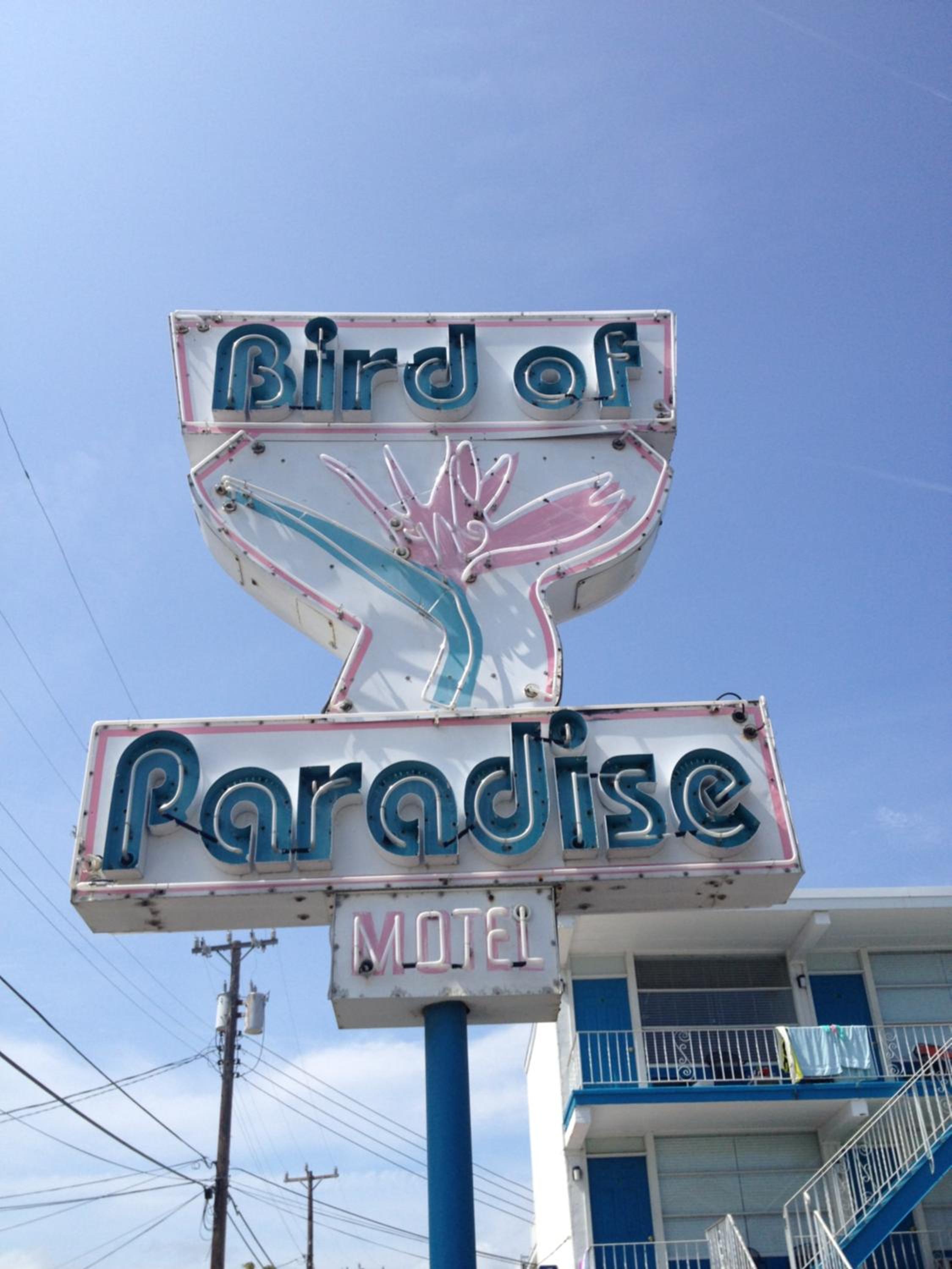 Bird of Paradise Motel