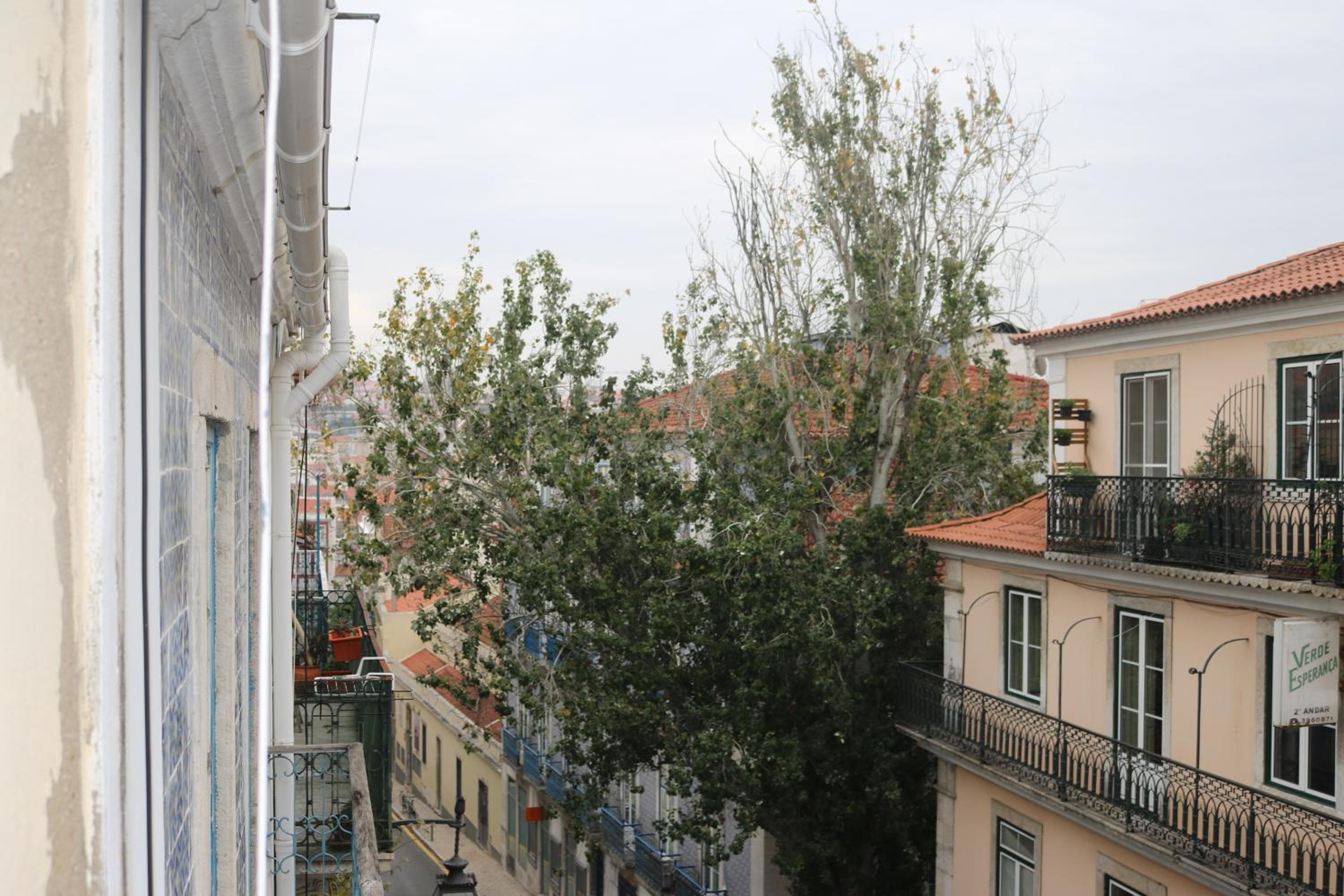 Spacious, Bright and Newly Renovated 2 Bedroom Apartment, Lisbon Historical Center, Madragoa view 3