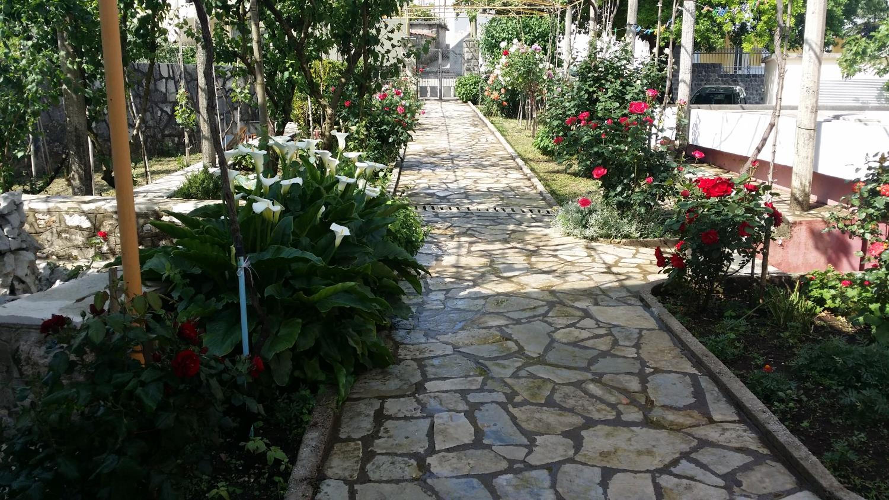 Photo 21