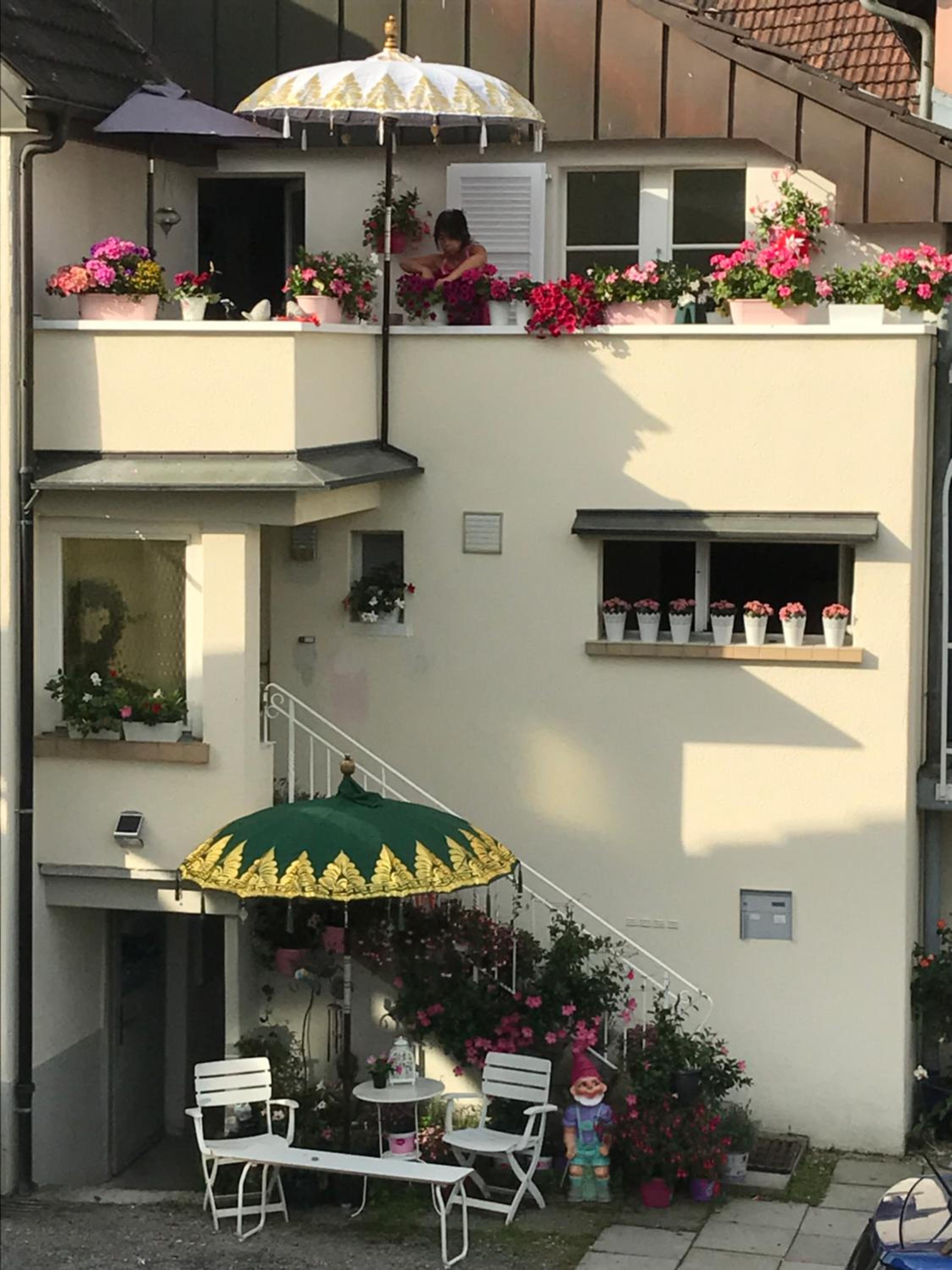 House of Harmony
