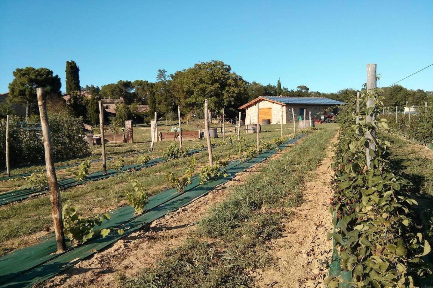Agriturismo Borgo Santa Maria
