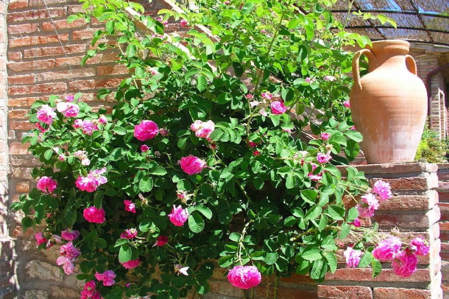 Agriturismo Borgo Santa Maria