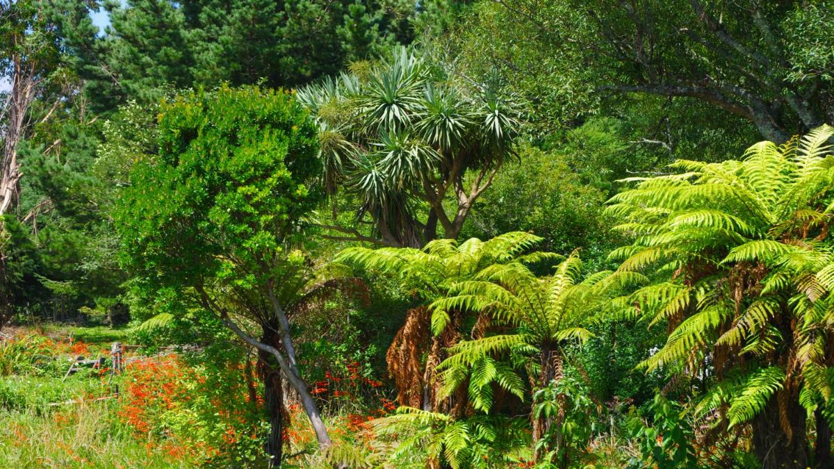 garden