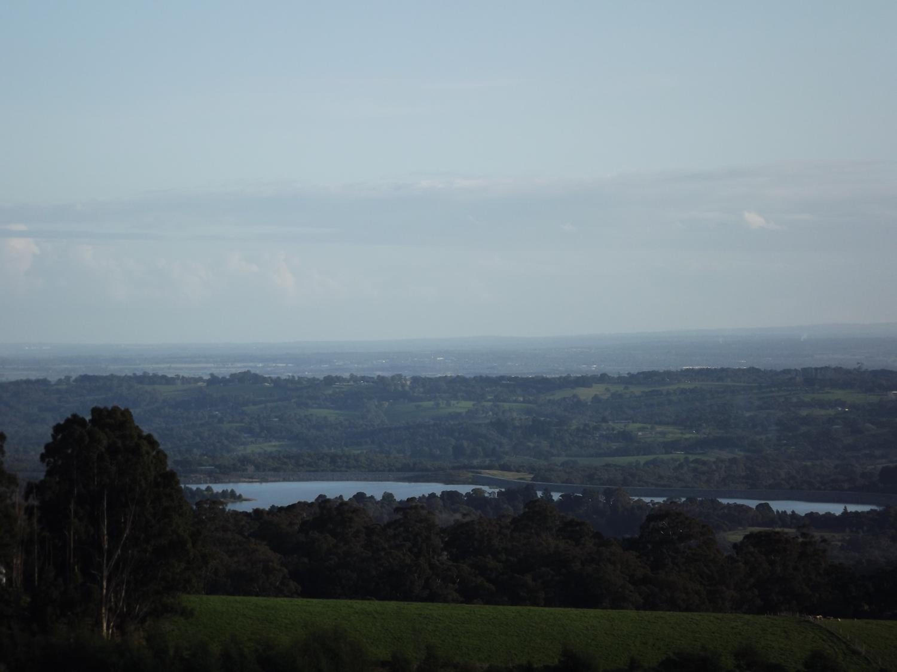 A Cottage with a View at Tudor Ridge