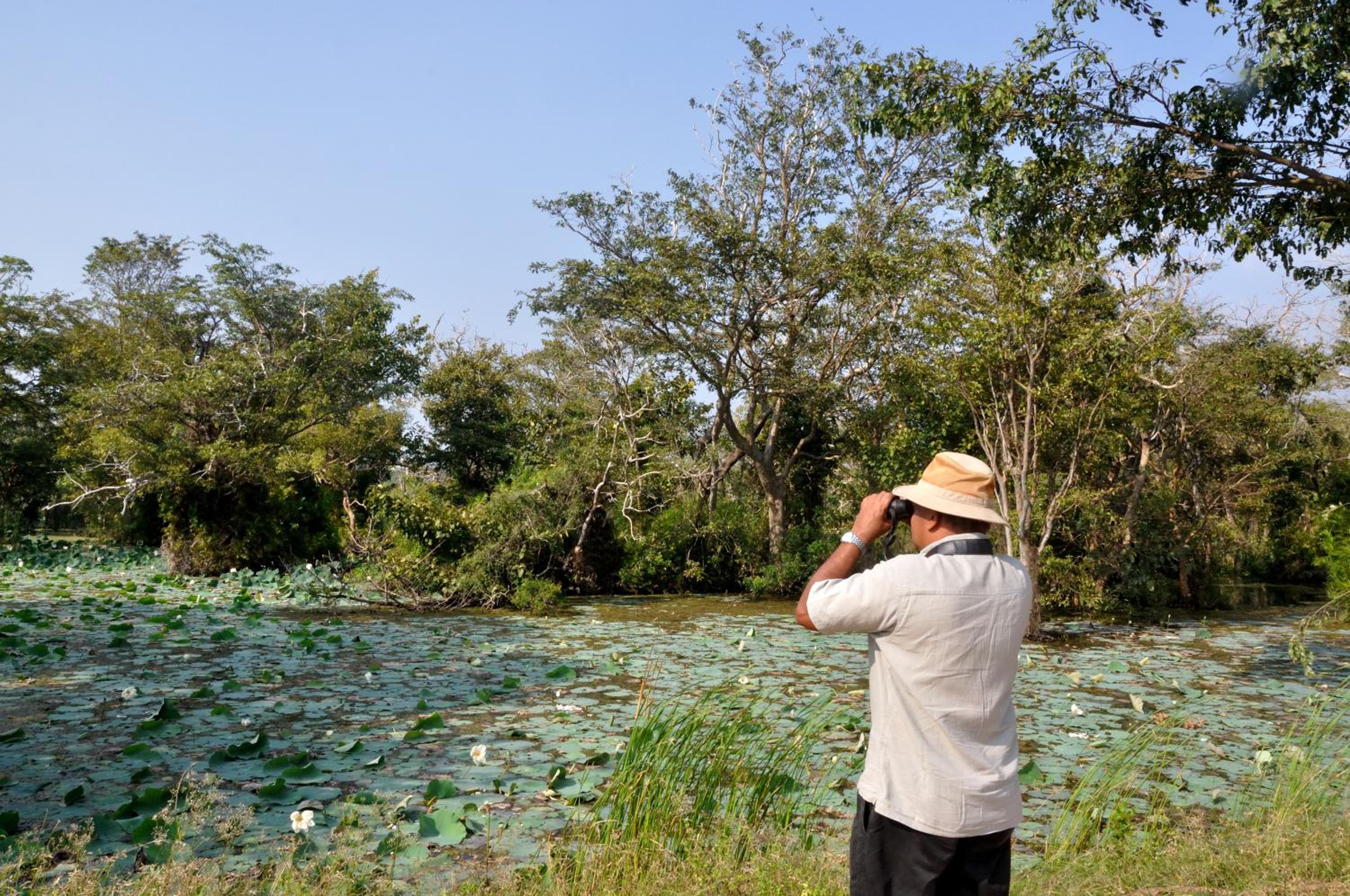 The Backwaters Lodge