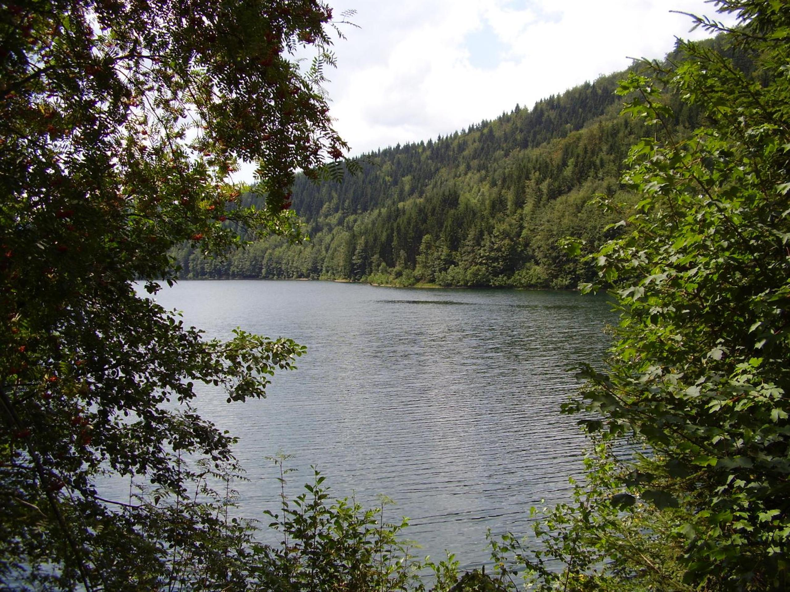 Ferienwohnung Reifberg view 4
