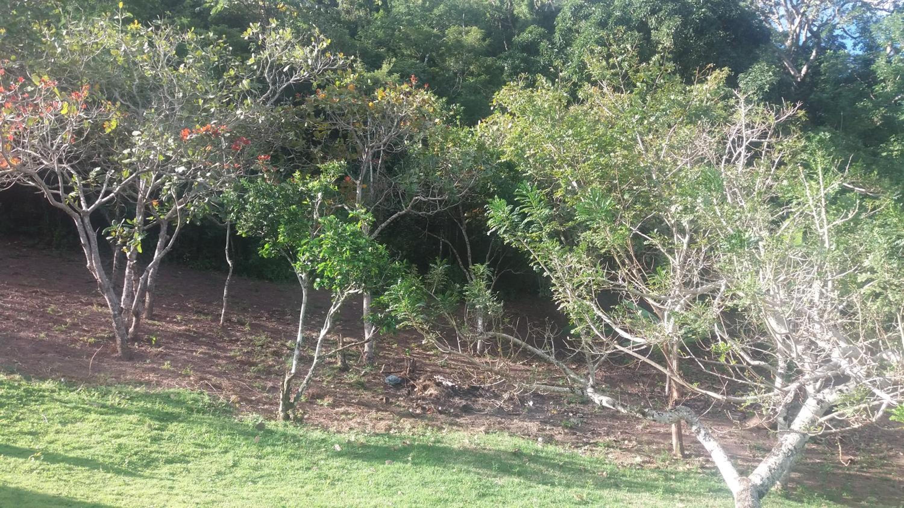Refugio na Serra 2