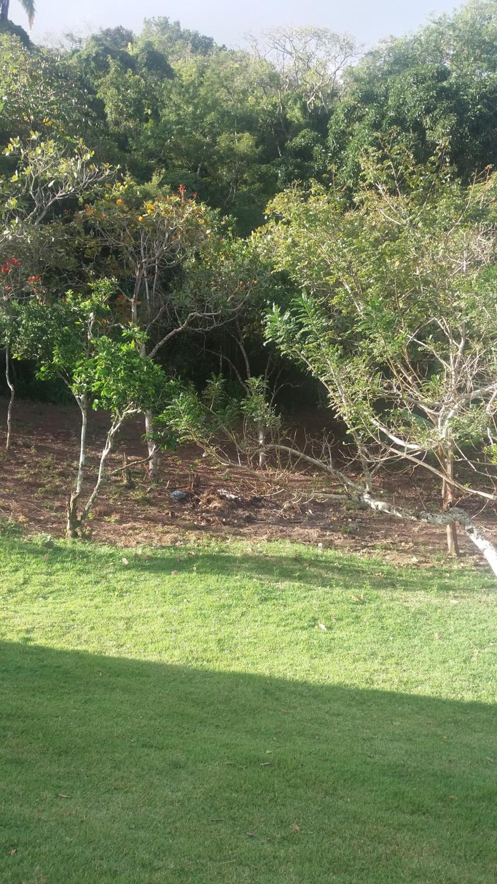 Refugio na Serra 2