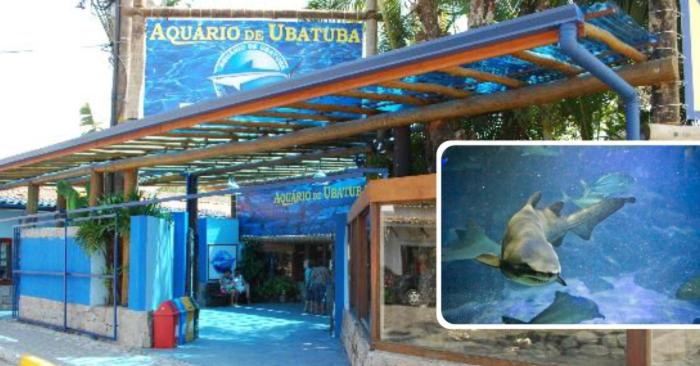 Casa Gomes com 3 suítes e ar-condicionado até 12 pessoas em Ubatuba Itaguá