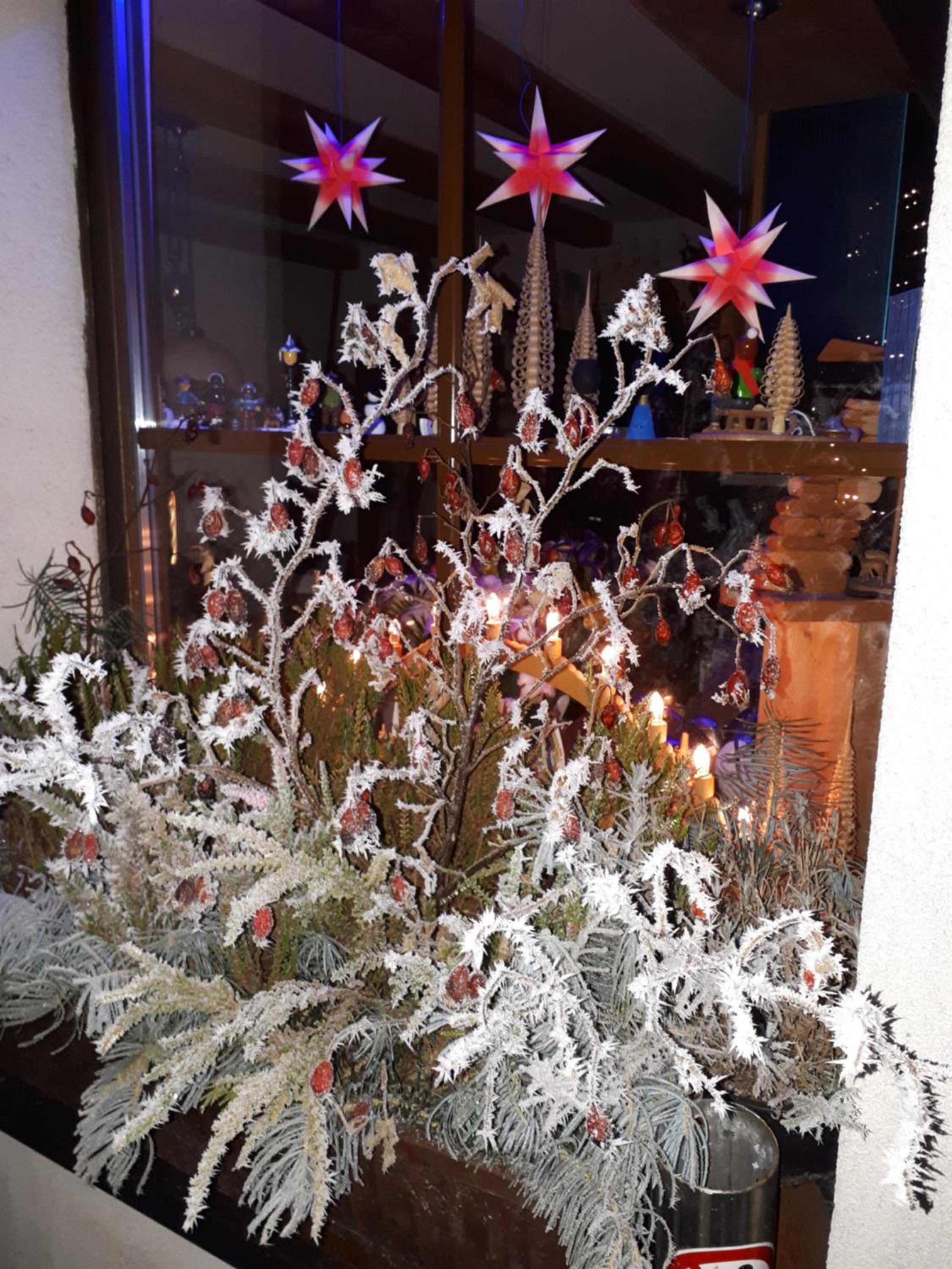 Ferienwohnung Aronia Garten