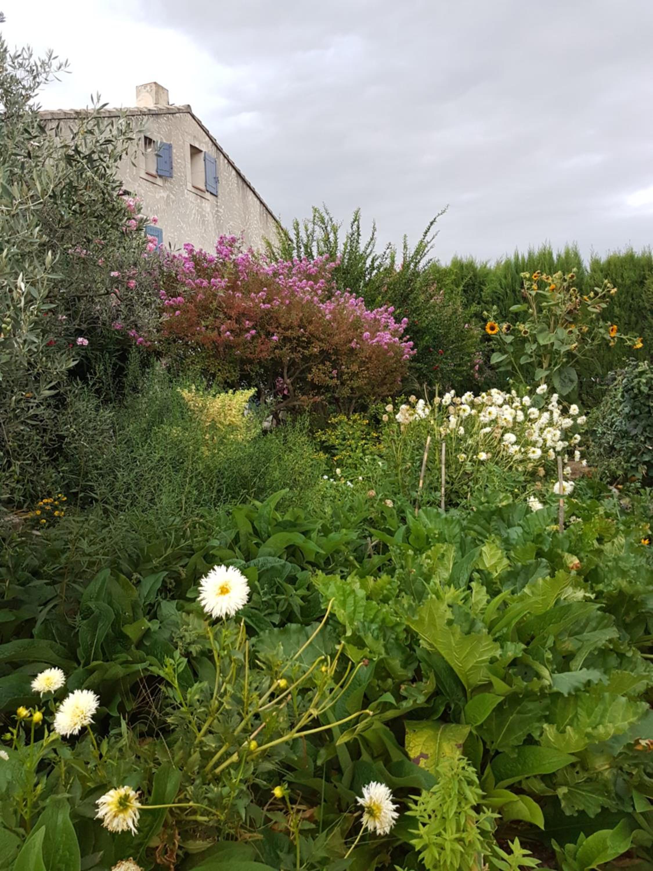 Photo 19