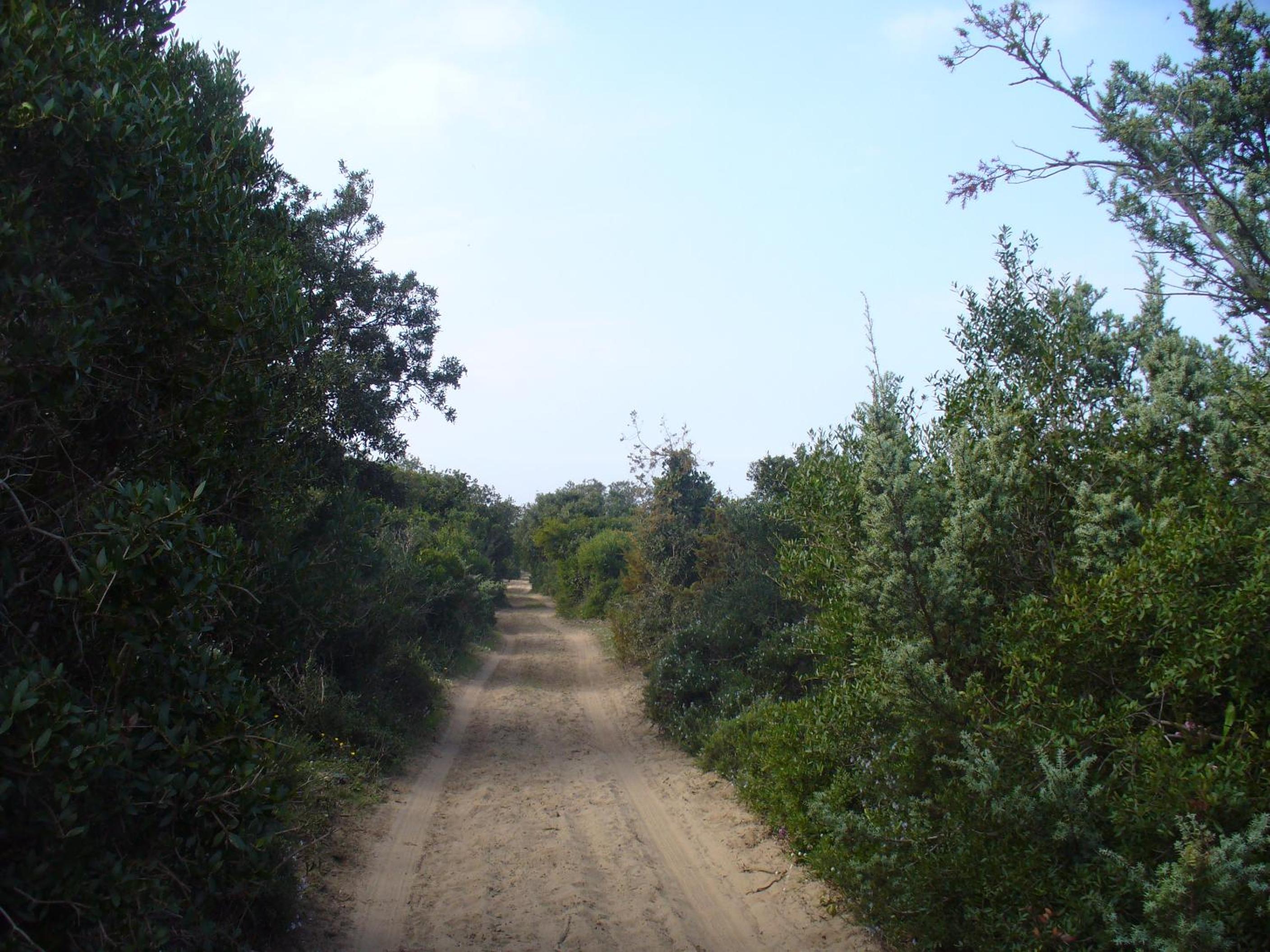 Photo 31