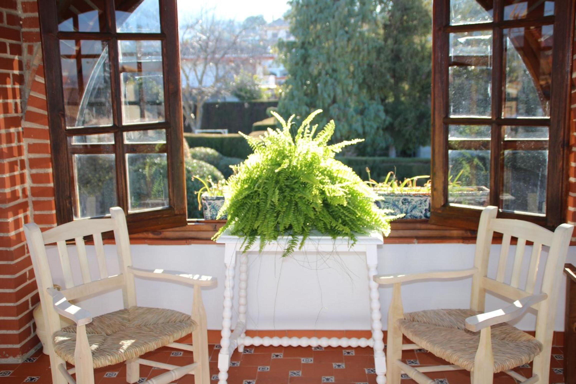 Photo 44