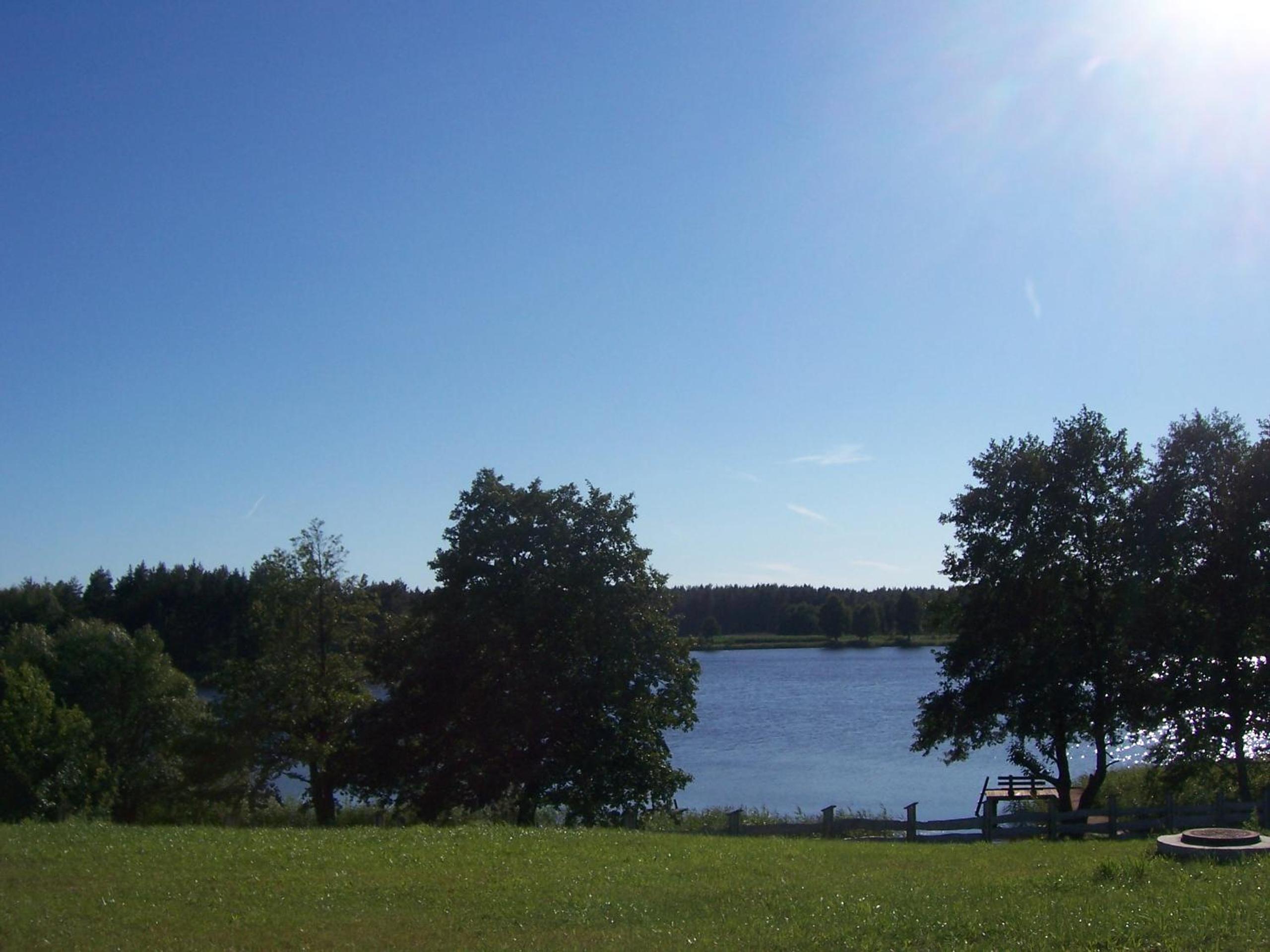 Photo 49