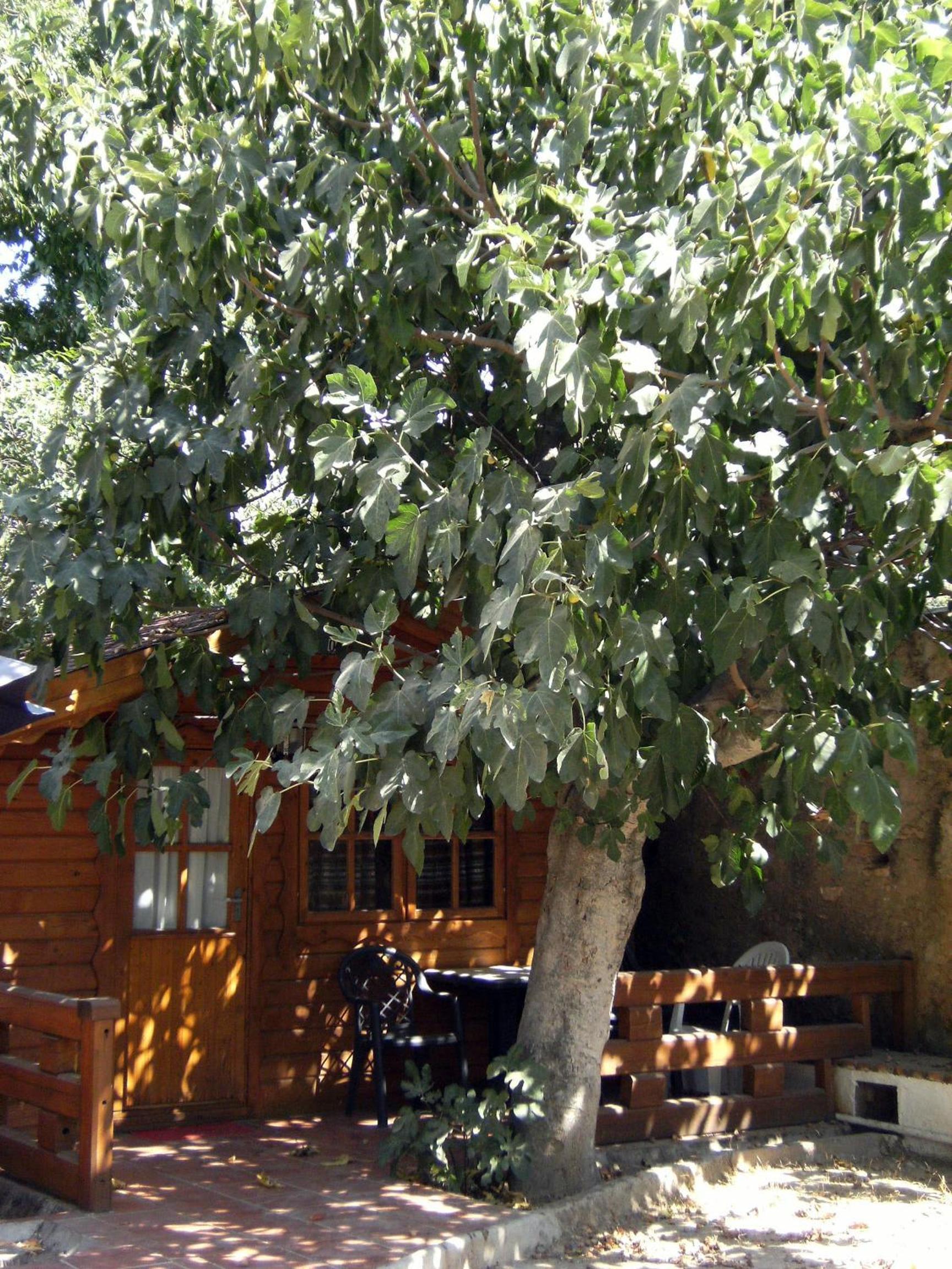 Photo 20