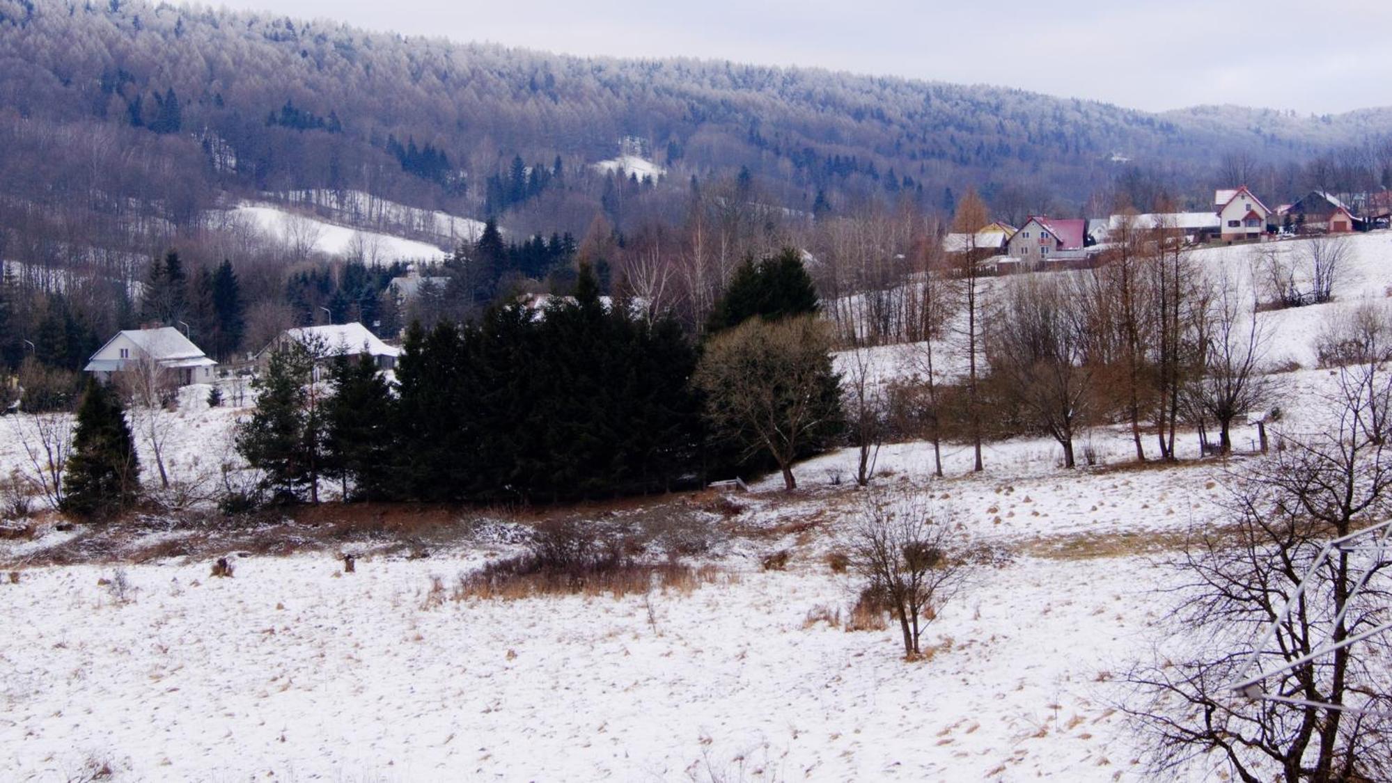 Photo 42