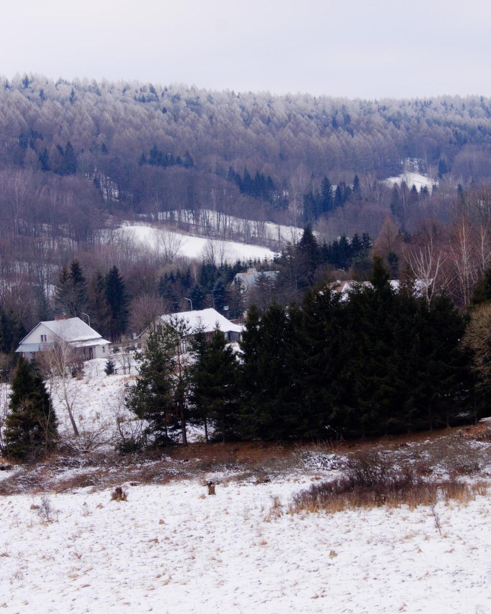 Photo 43