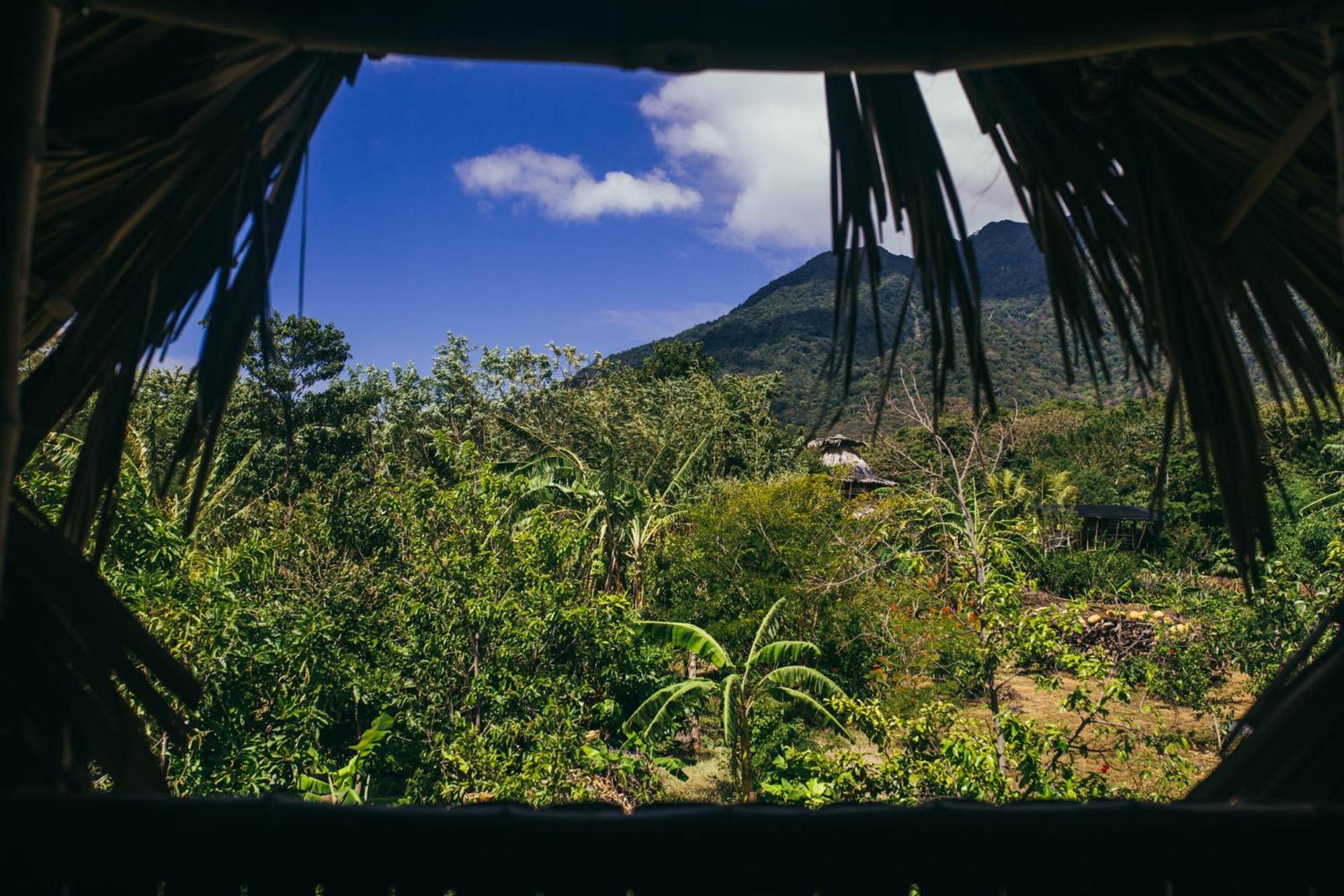 Finca La Magia view 4